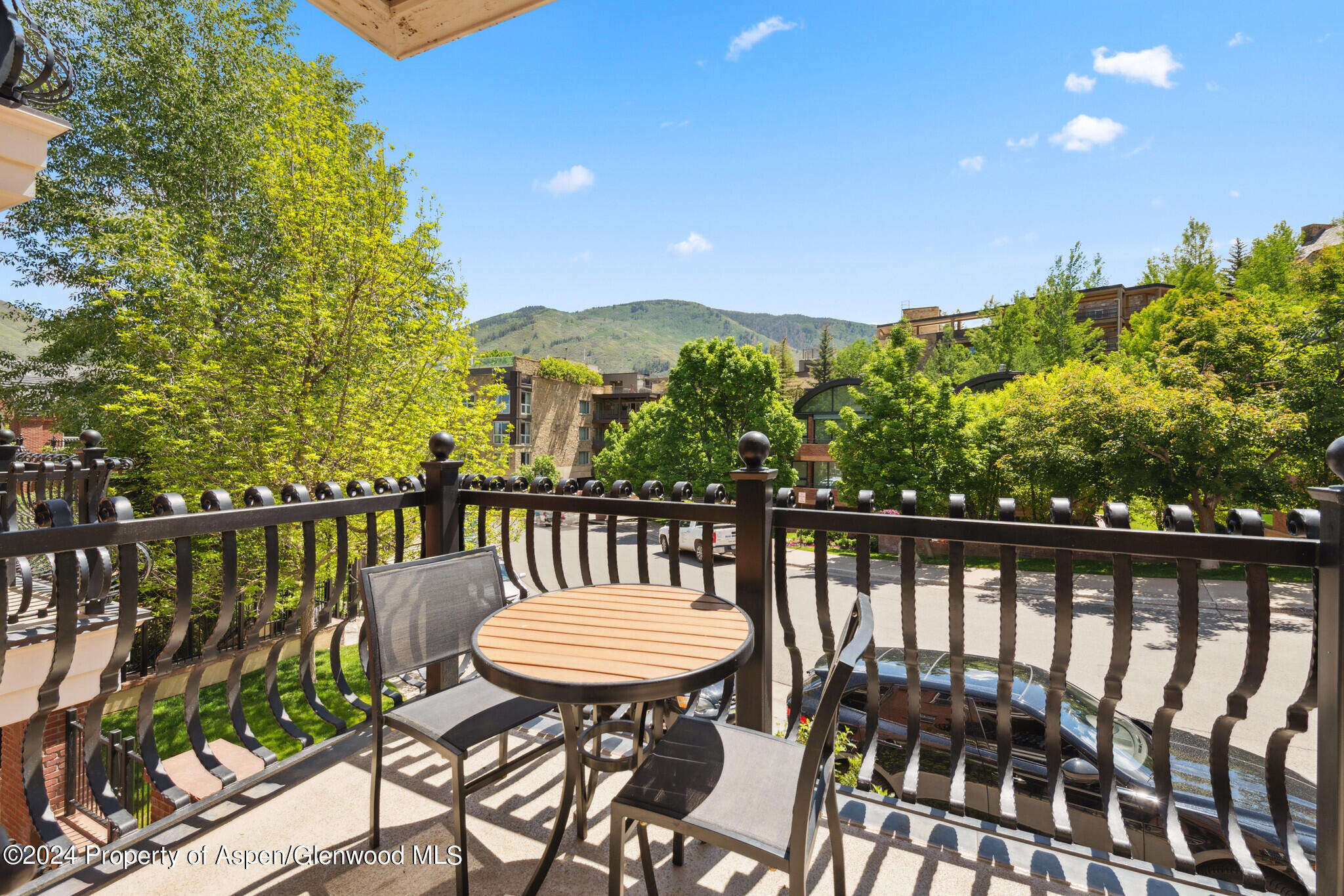 415 E Dean St, Unit 44b, Week 5 Aspen CO 81611
