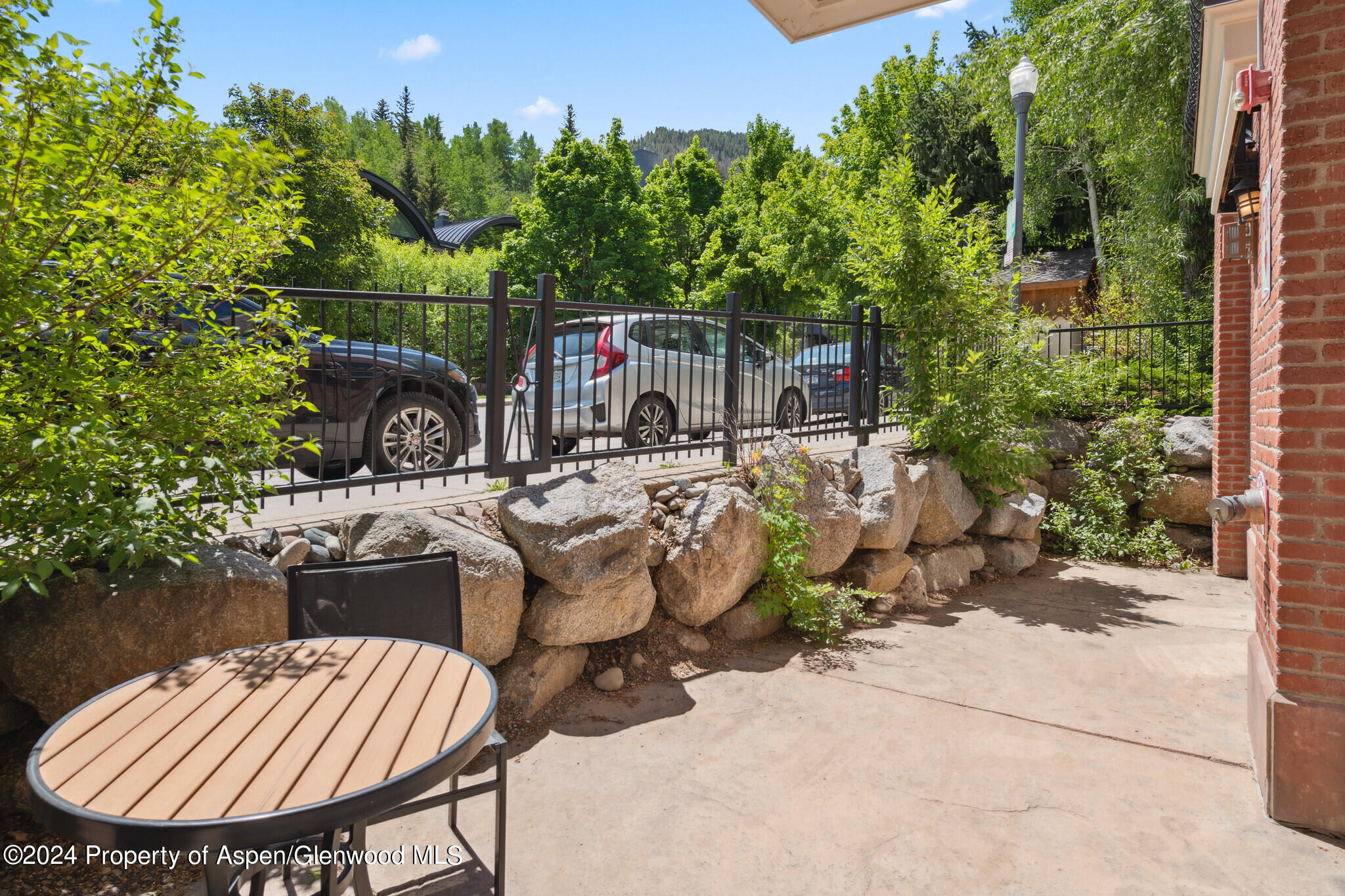415 E Dean St, Unit 44b, Week 5 Aspen CO 81611