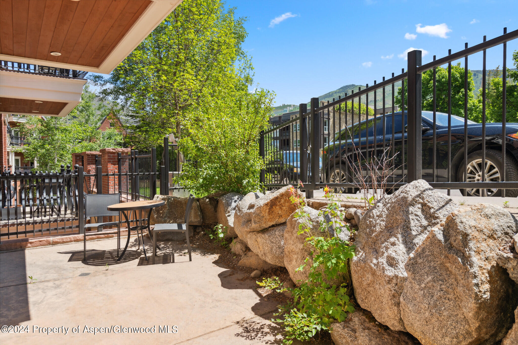 415 E Dean St, Unit 44b, Week 5 Aspen CO 81611