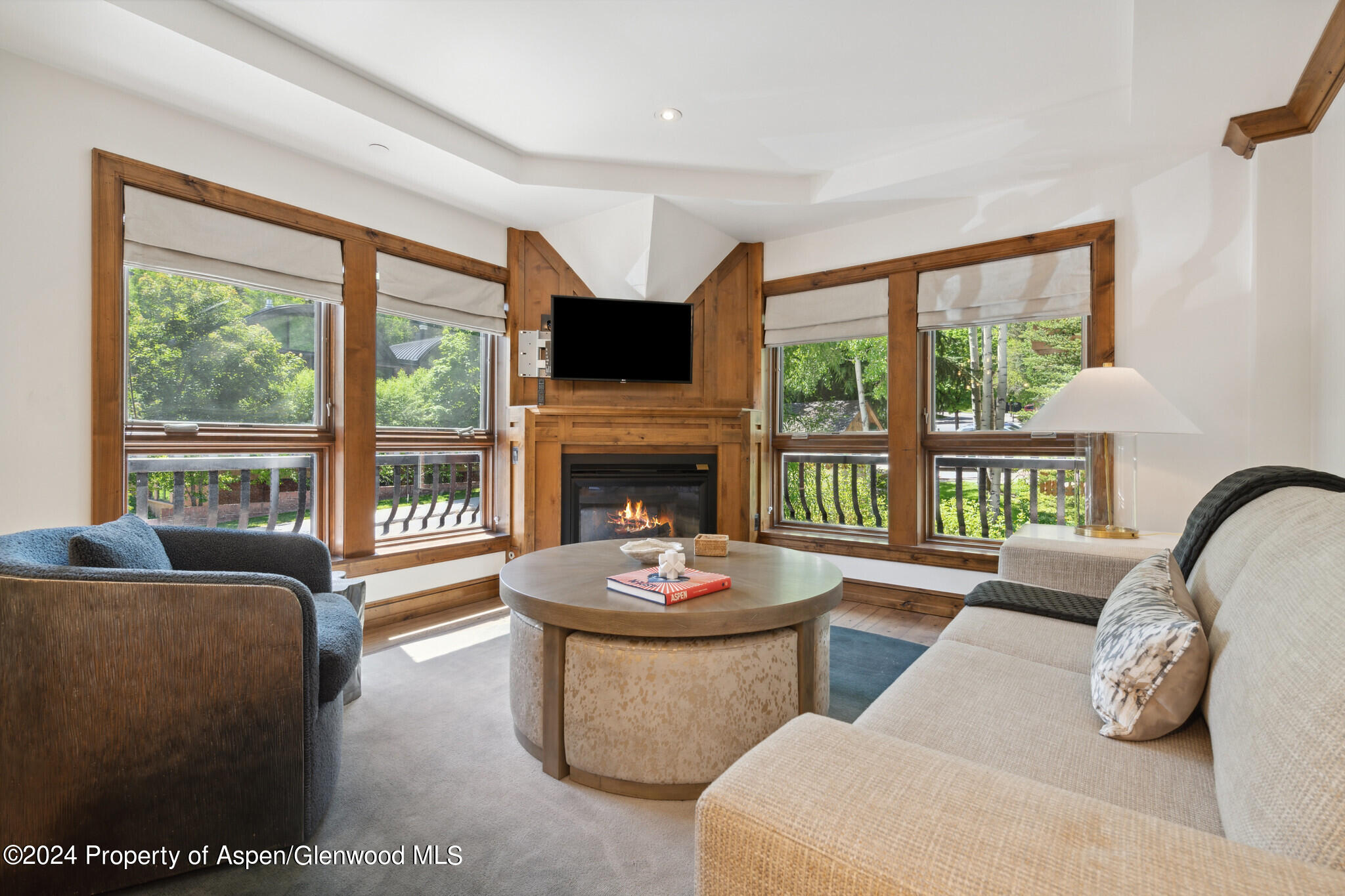 415 E Dean St, Unit 44b, Week 5 Aspen CO 81611