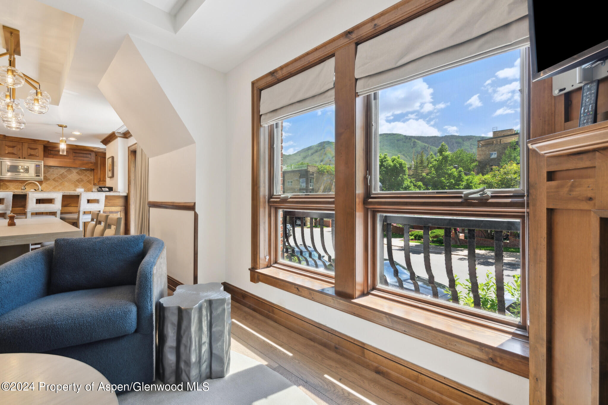 415 E Dean St, Unit 44b, Week 5 Aspen CO 81611