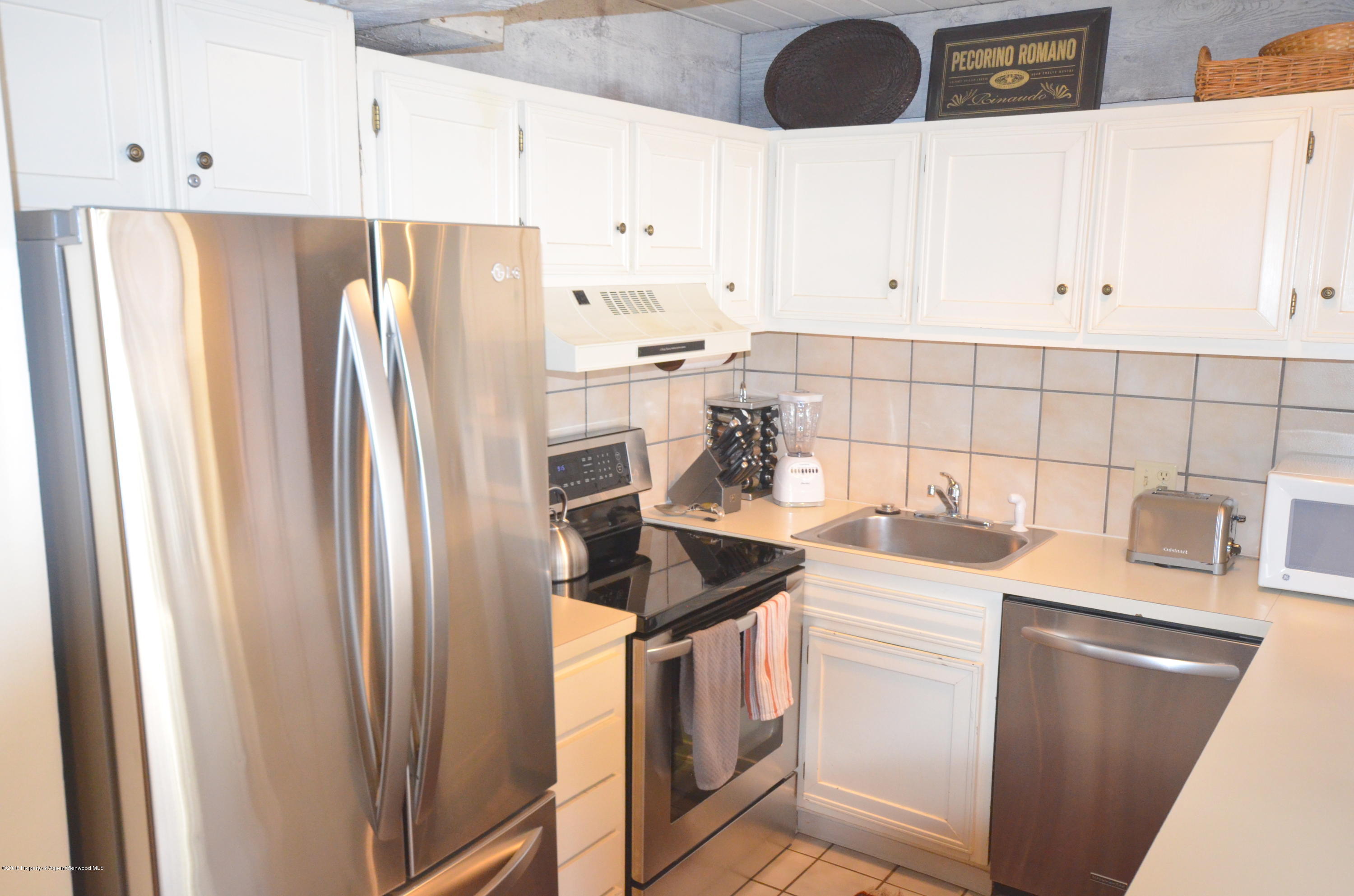 1039 E Cooper Avenue Aspen CO 81611