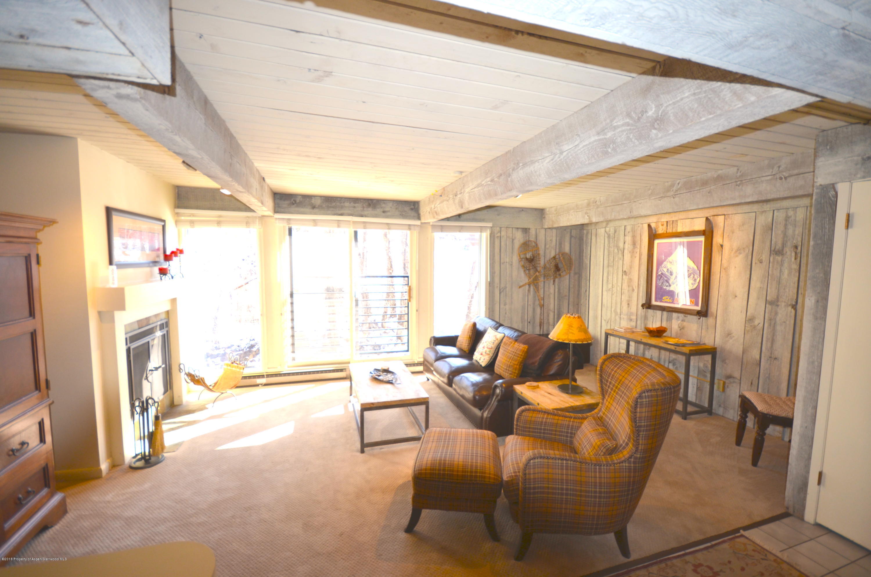 1039 E Cooper Avenue Aspen CO 81611