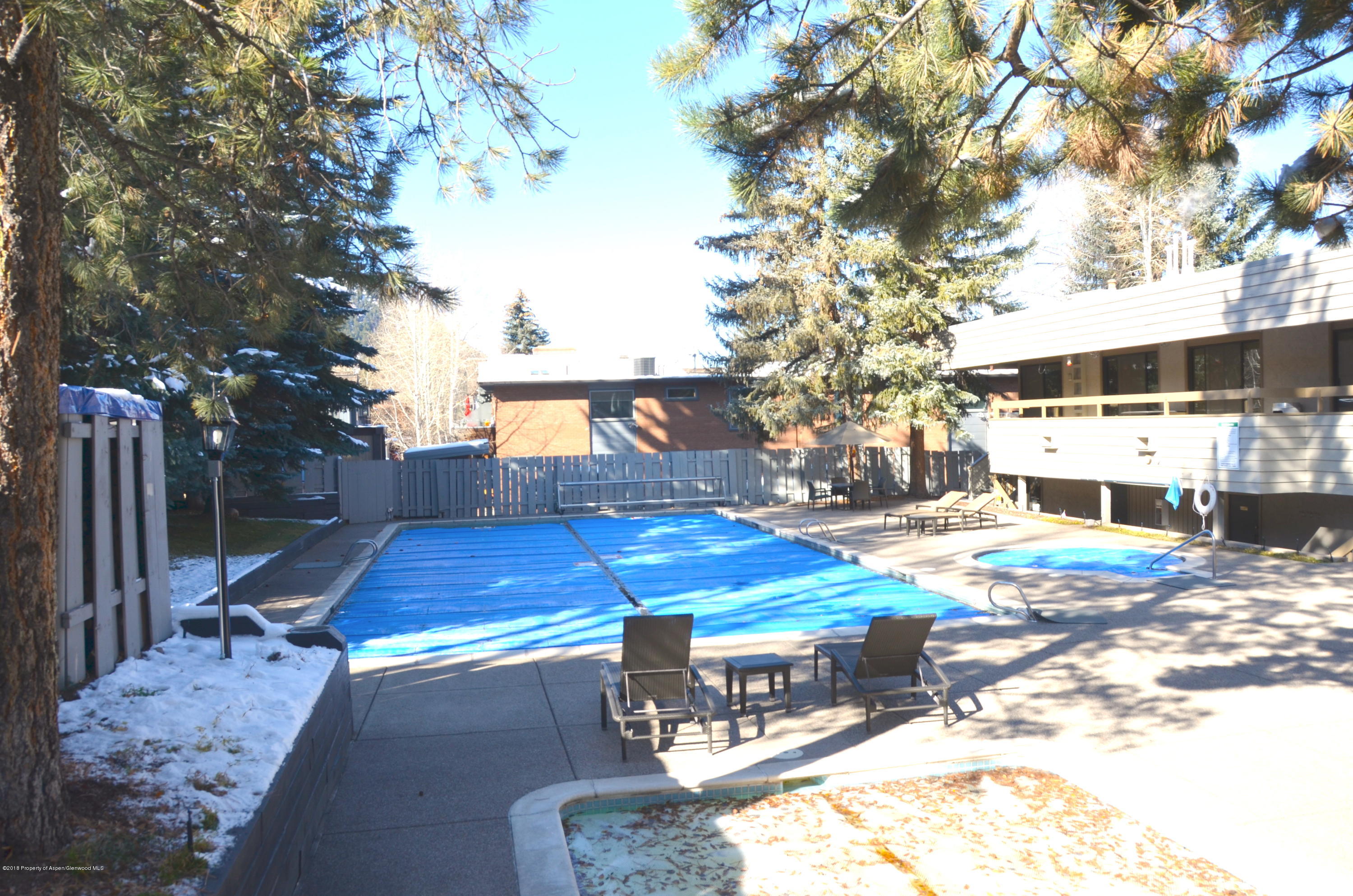 1039 E Cooper Avenue Aspen CO 81611