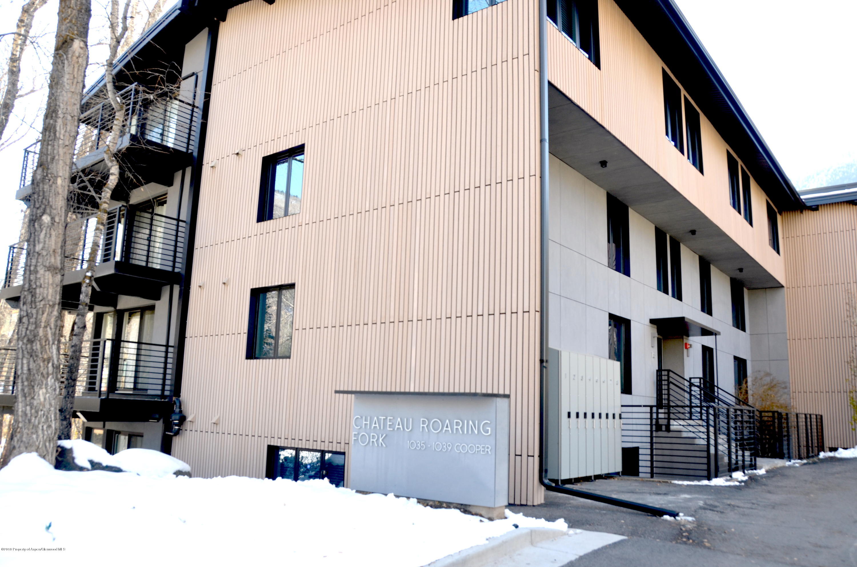 1039 E Cooper Avenue Aspen CO 81611