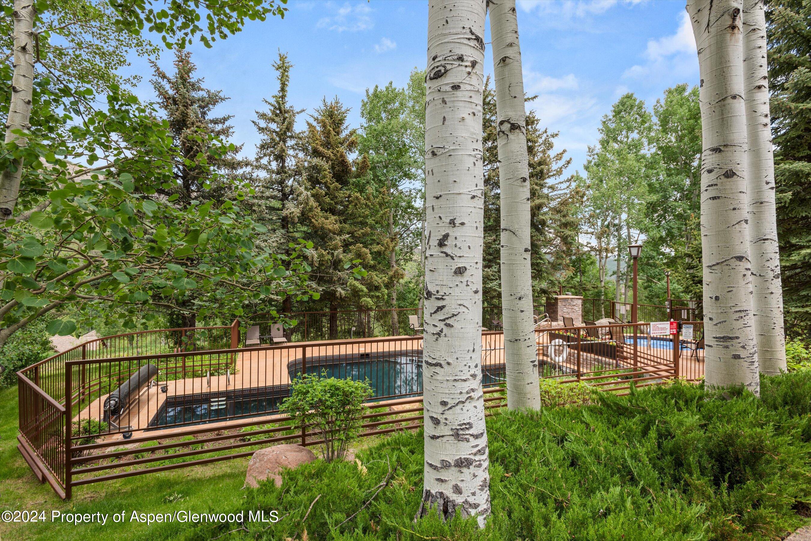 229 Faraway Road Snowmass Village CO 81615