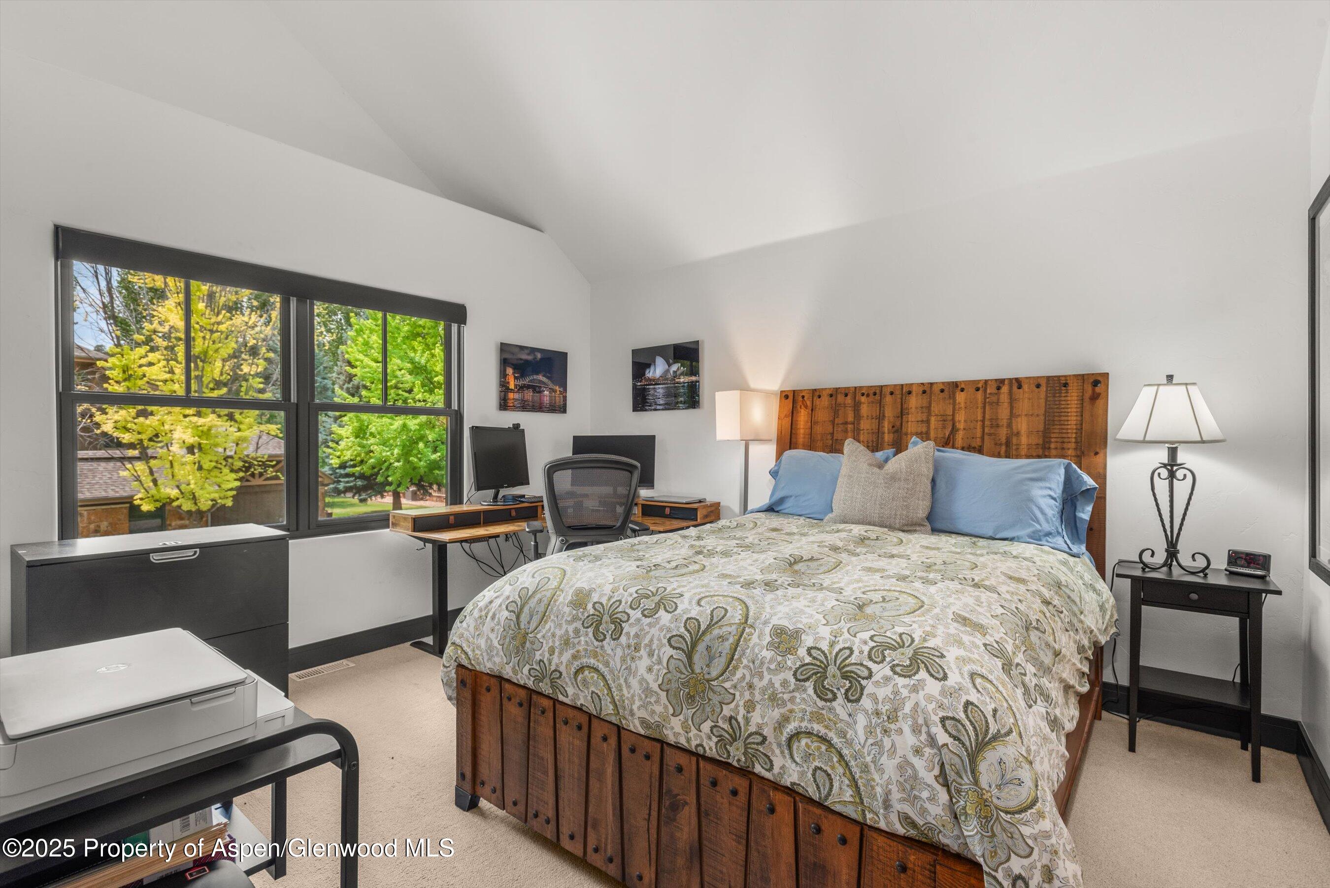 70 Golden Bear Drive Carbondale CO 81623