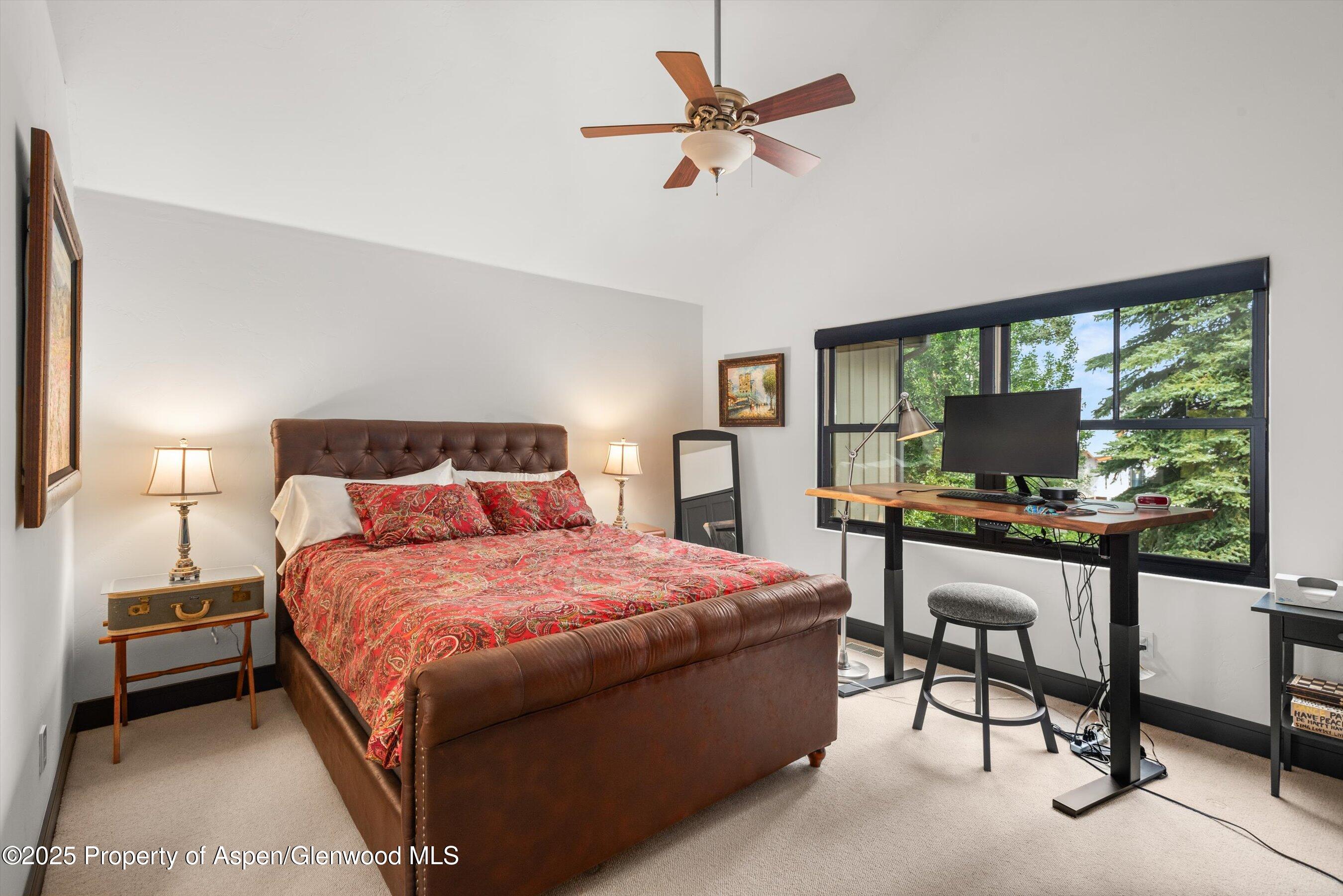 70 Golden Bear Drive Carbondale CO 81623