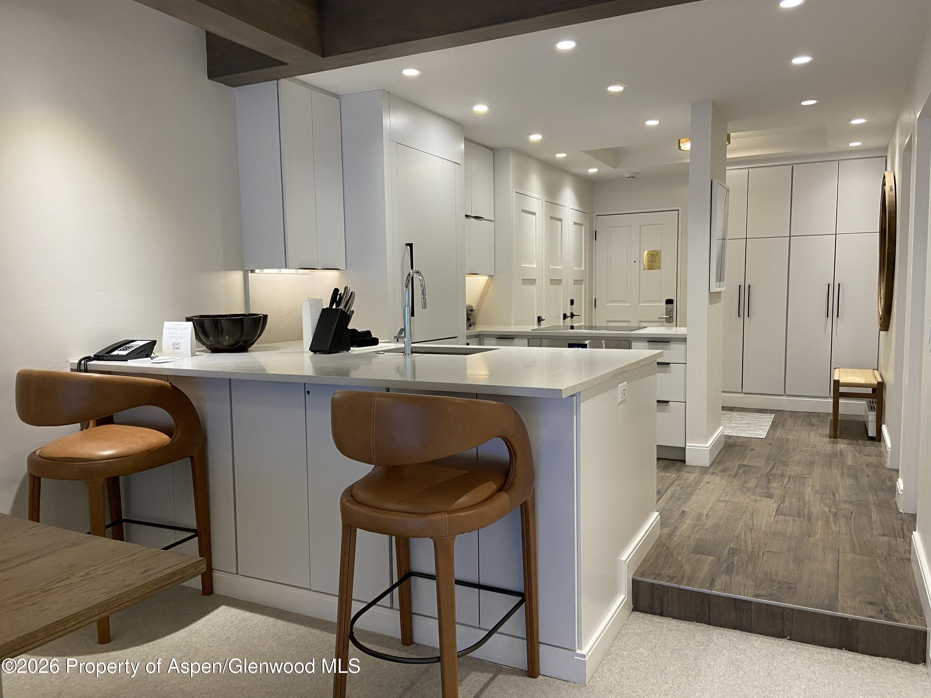 610 S West End Street Aspen CO 81611