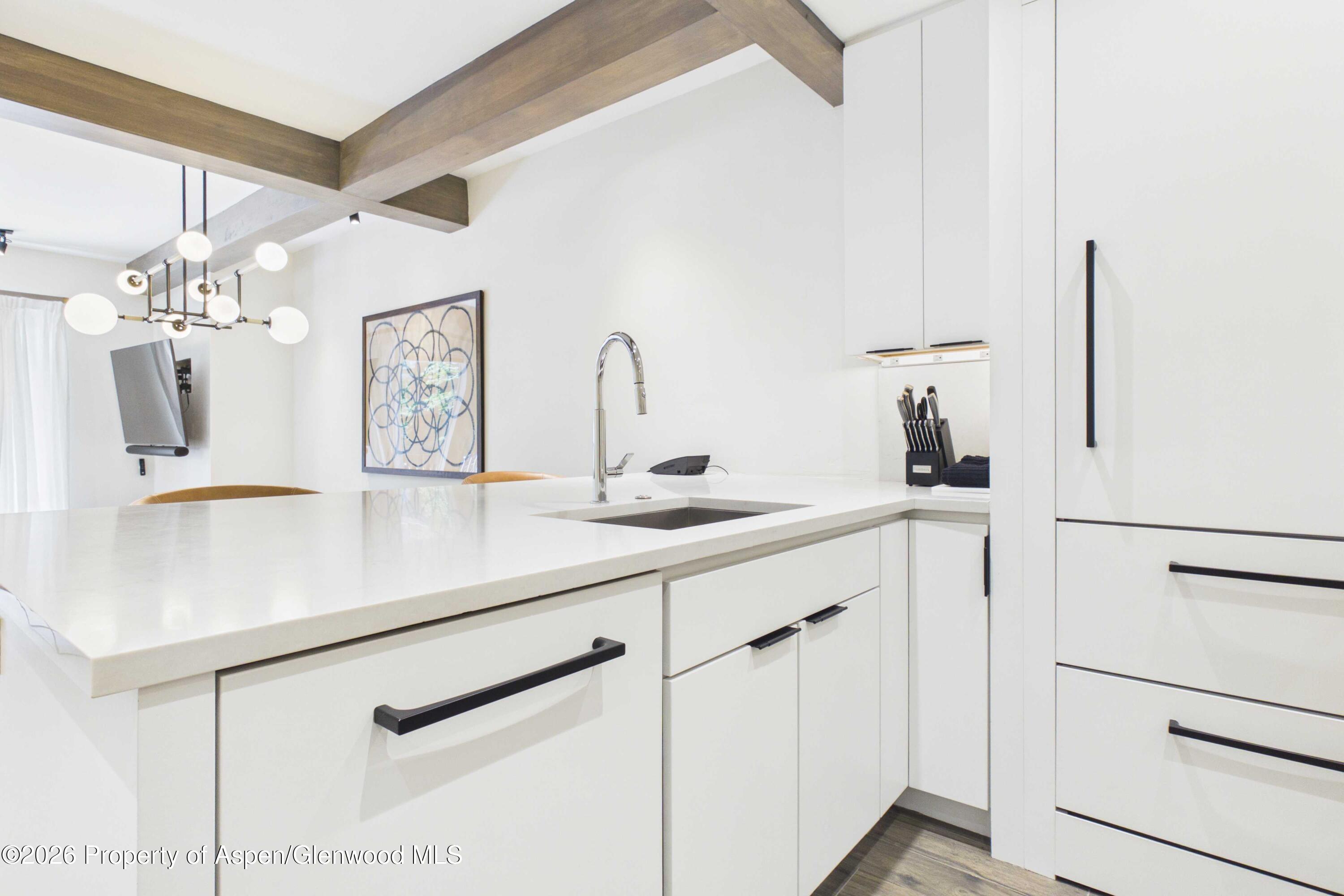 Aspen CO, 610 S West End Street, Unit K203