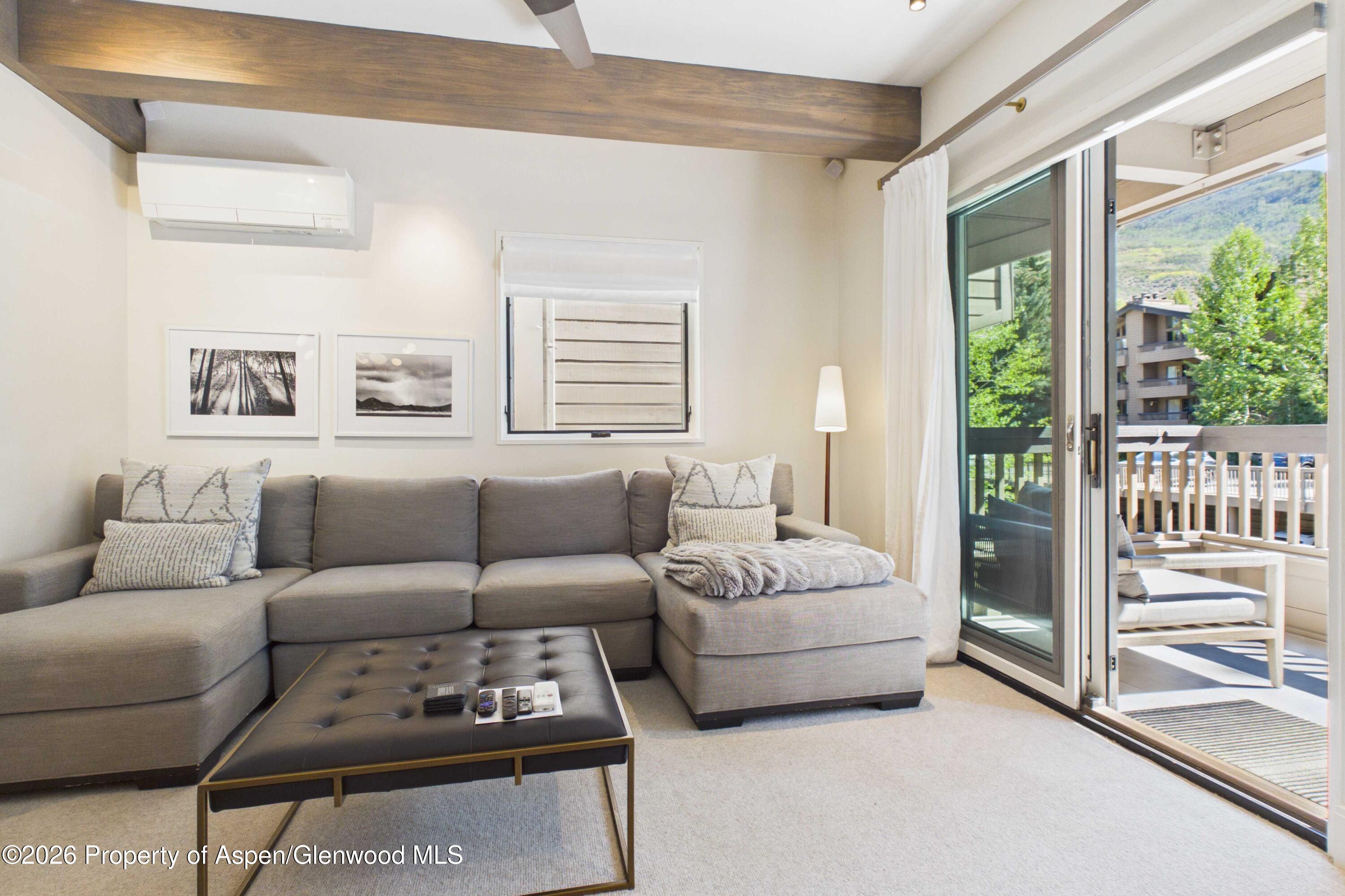 610 S West End Street Aspen CO 81611