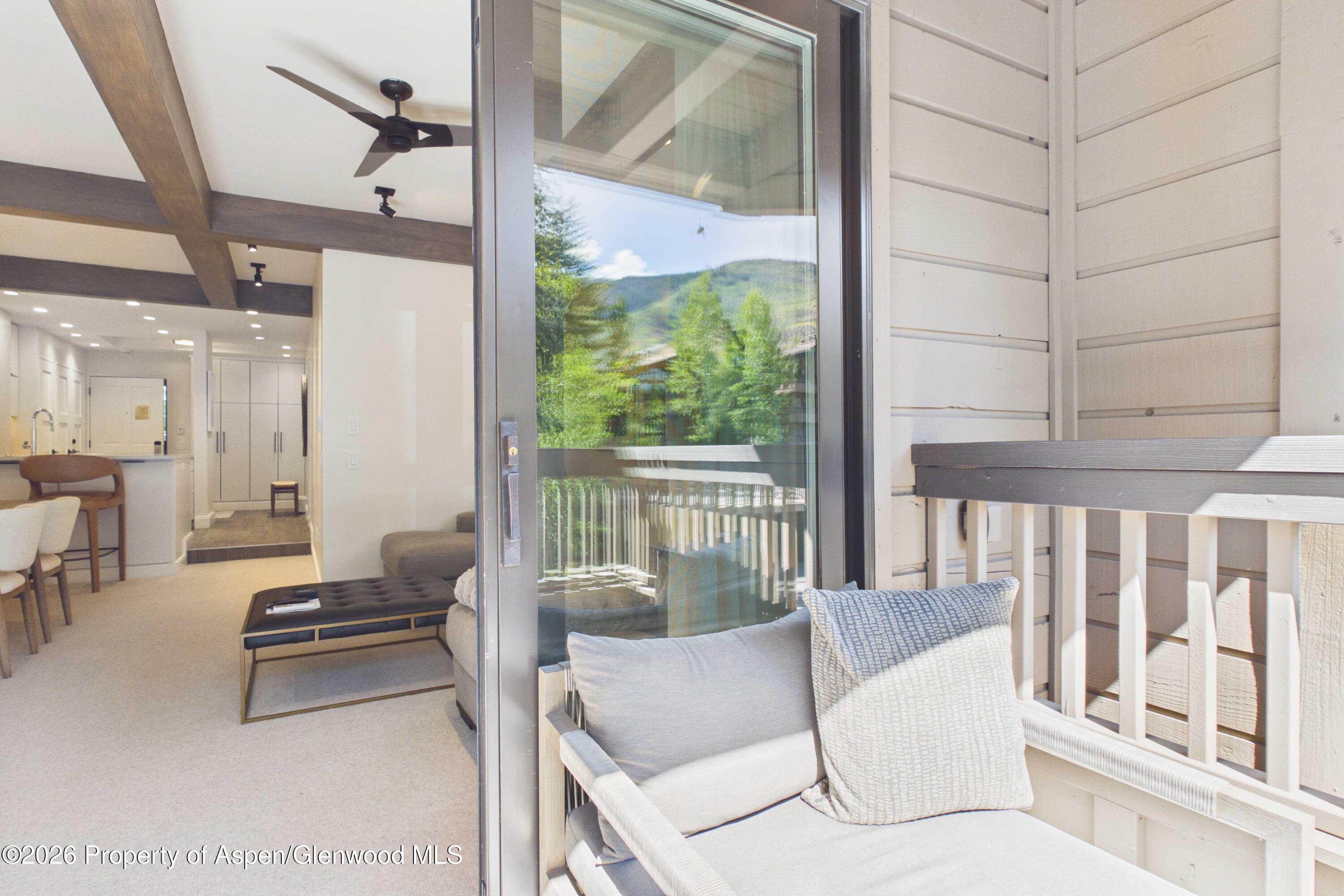 610 S West End Street Aspen CO 81611