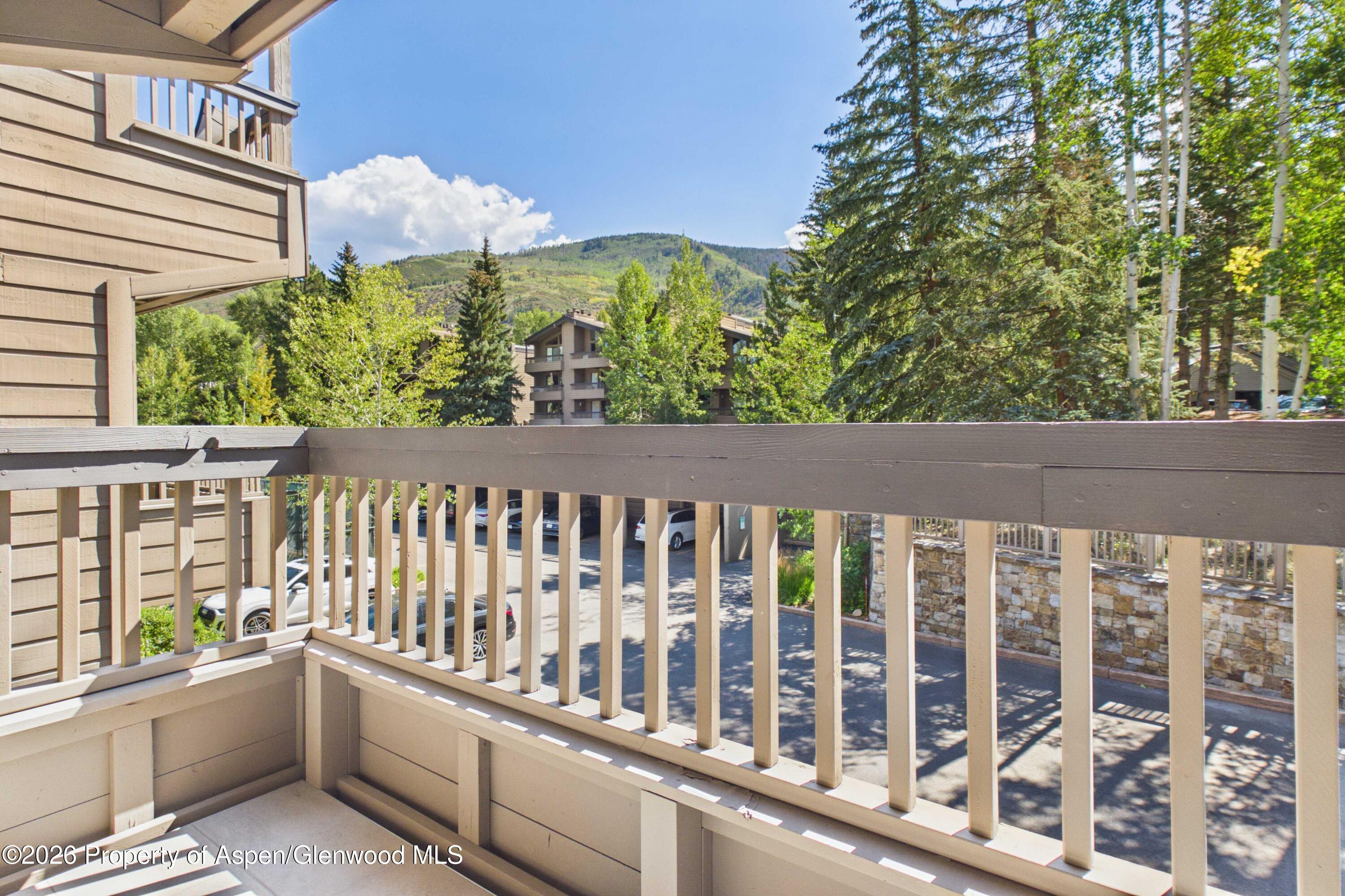 610 S West End Street Aspen CO 81611