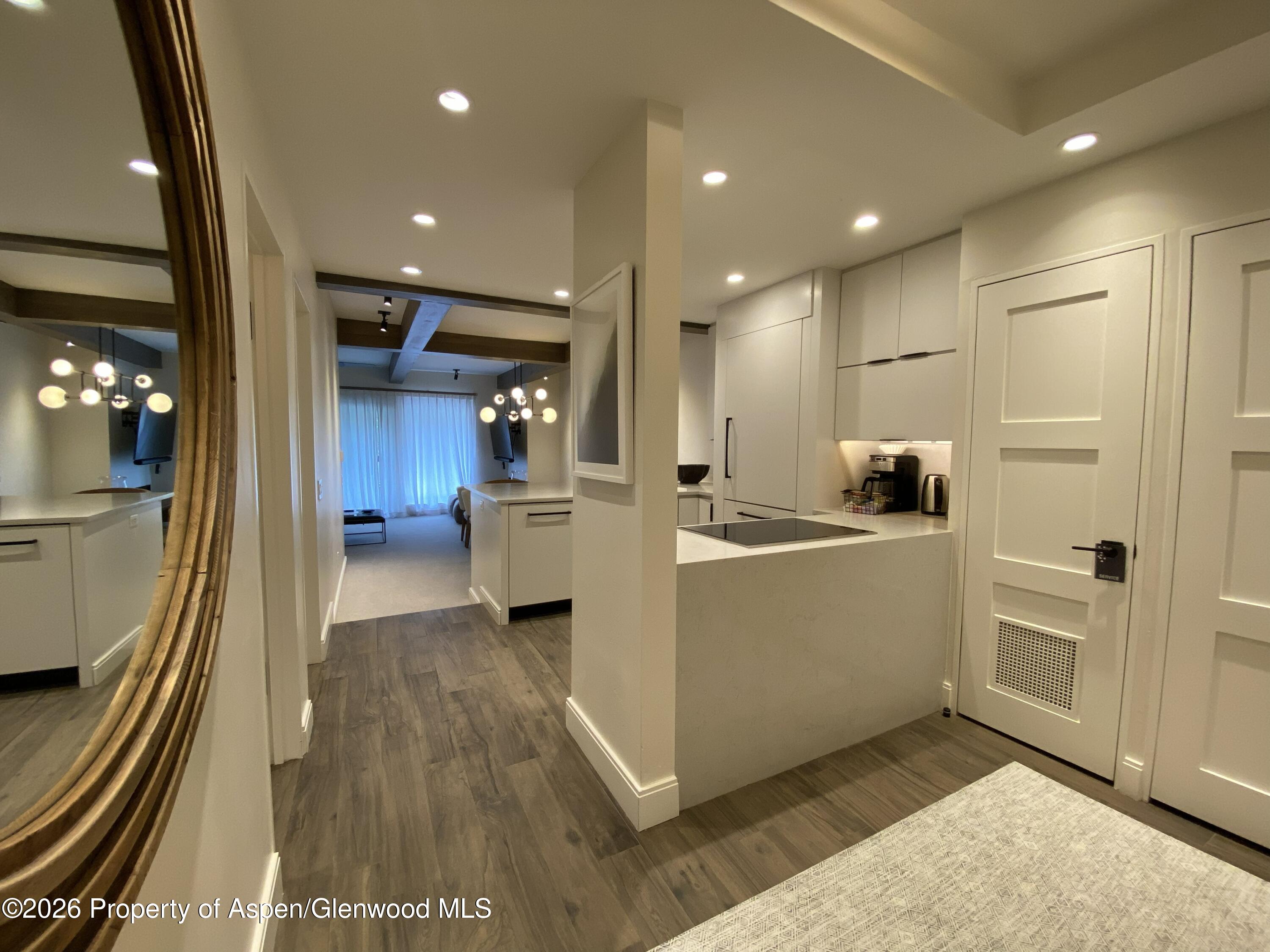 610 S West End Street Aspen CO 81611