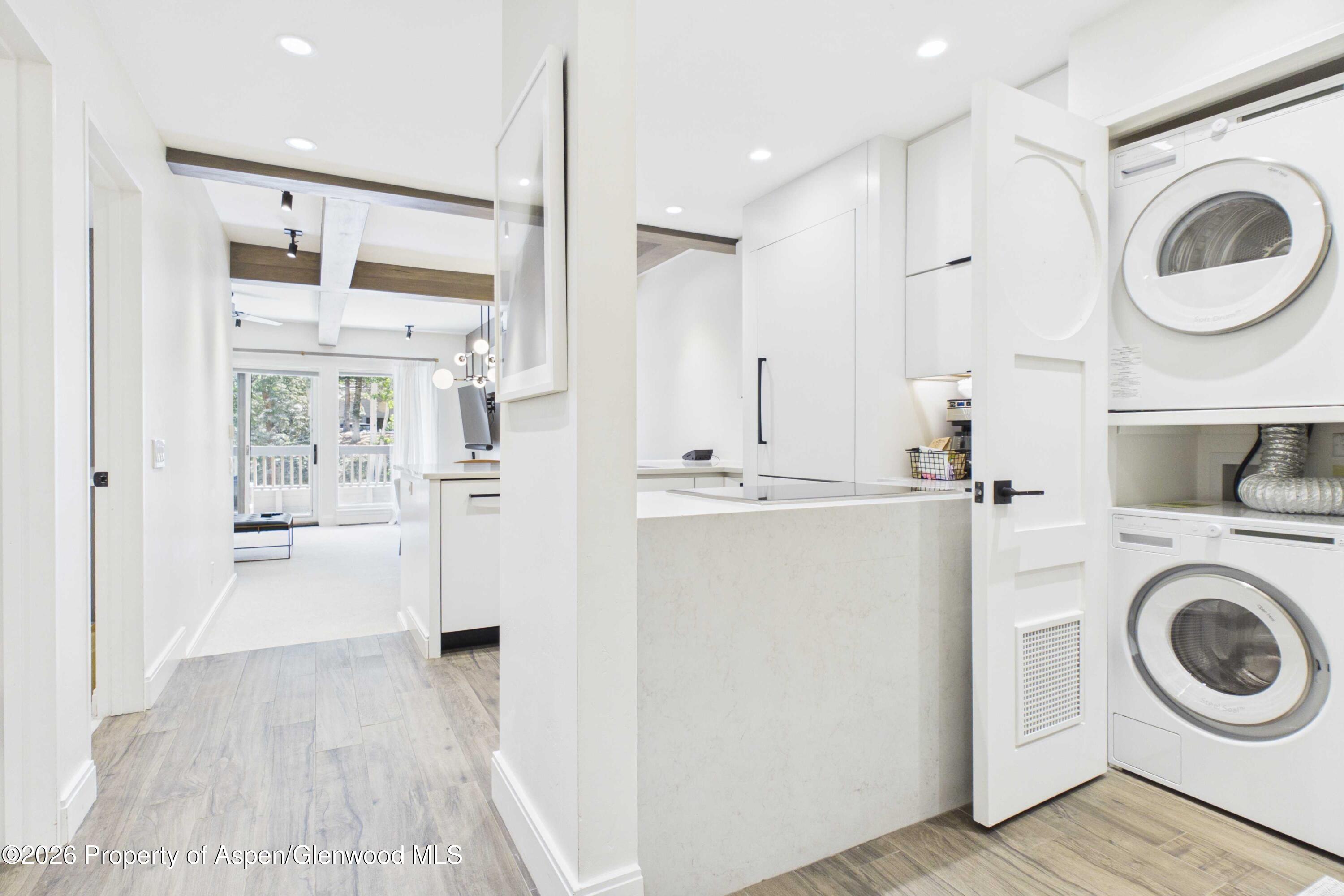 610 S West End Street Aspen CO 81611