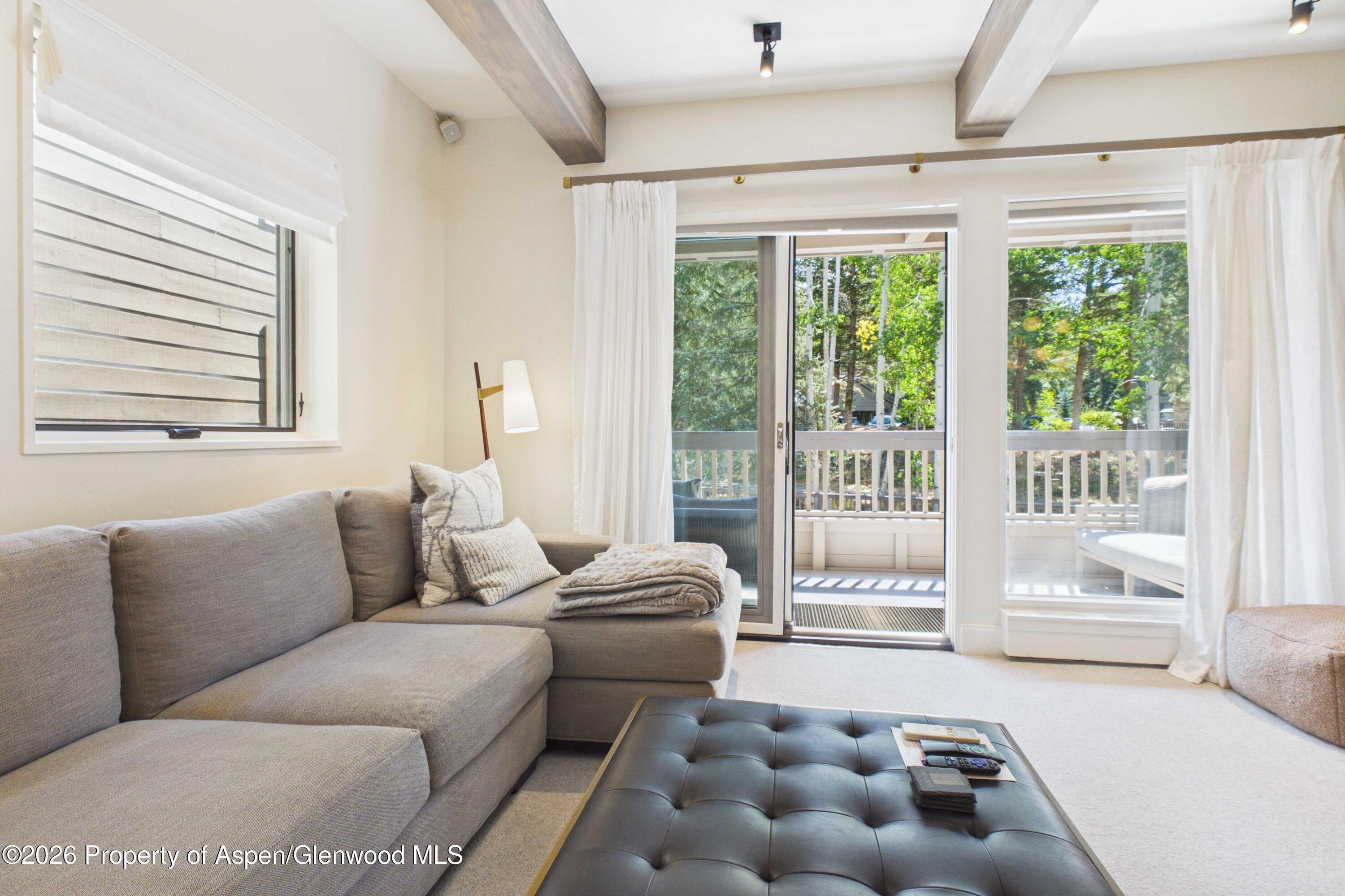 610 S West End Street Aspen CO 81611
