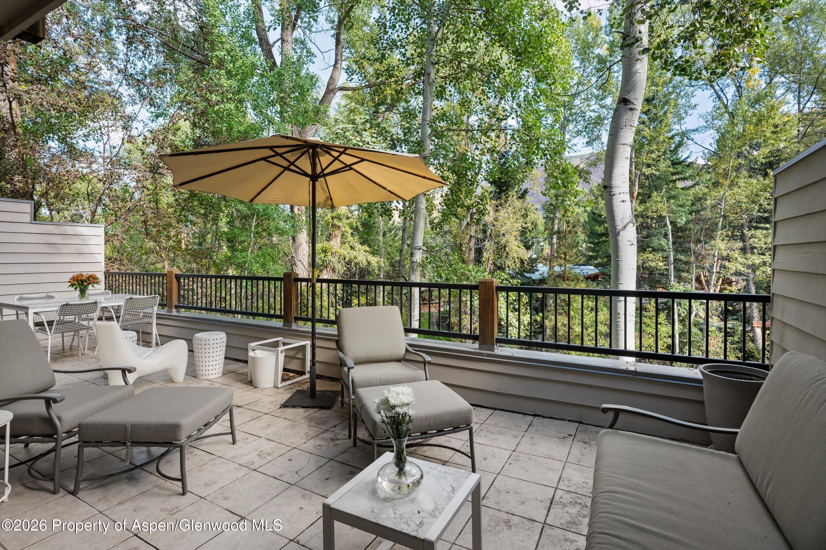 960 E Hopkins Avenue Aspen CO 81611