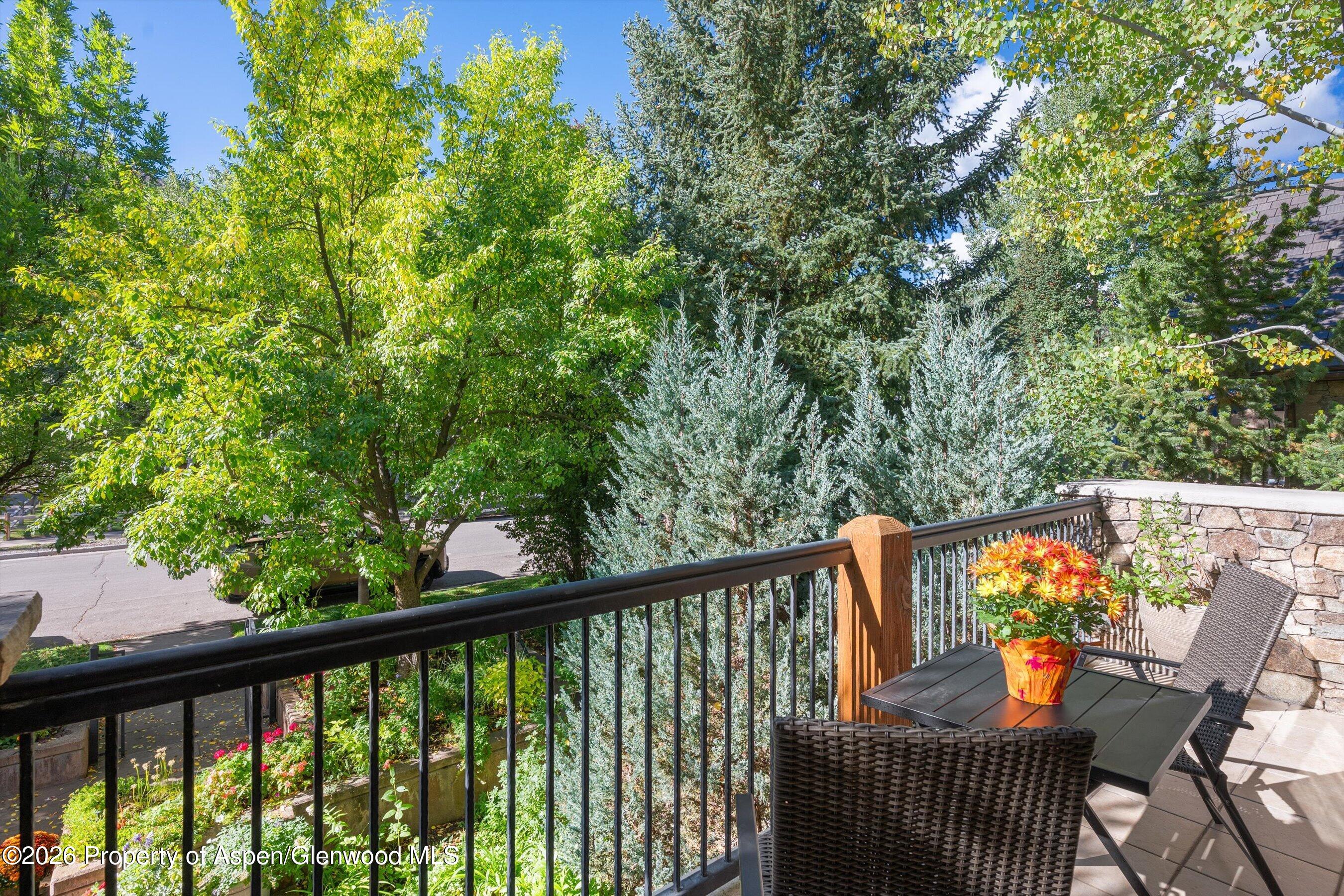 960 E Hopkins Avenue Aspen CO 81611