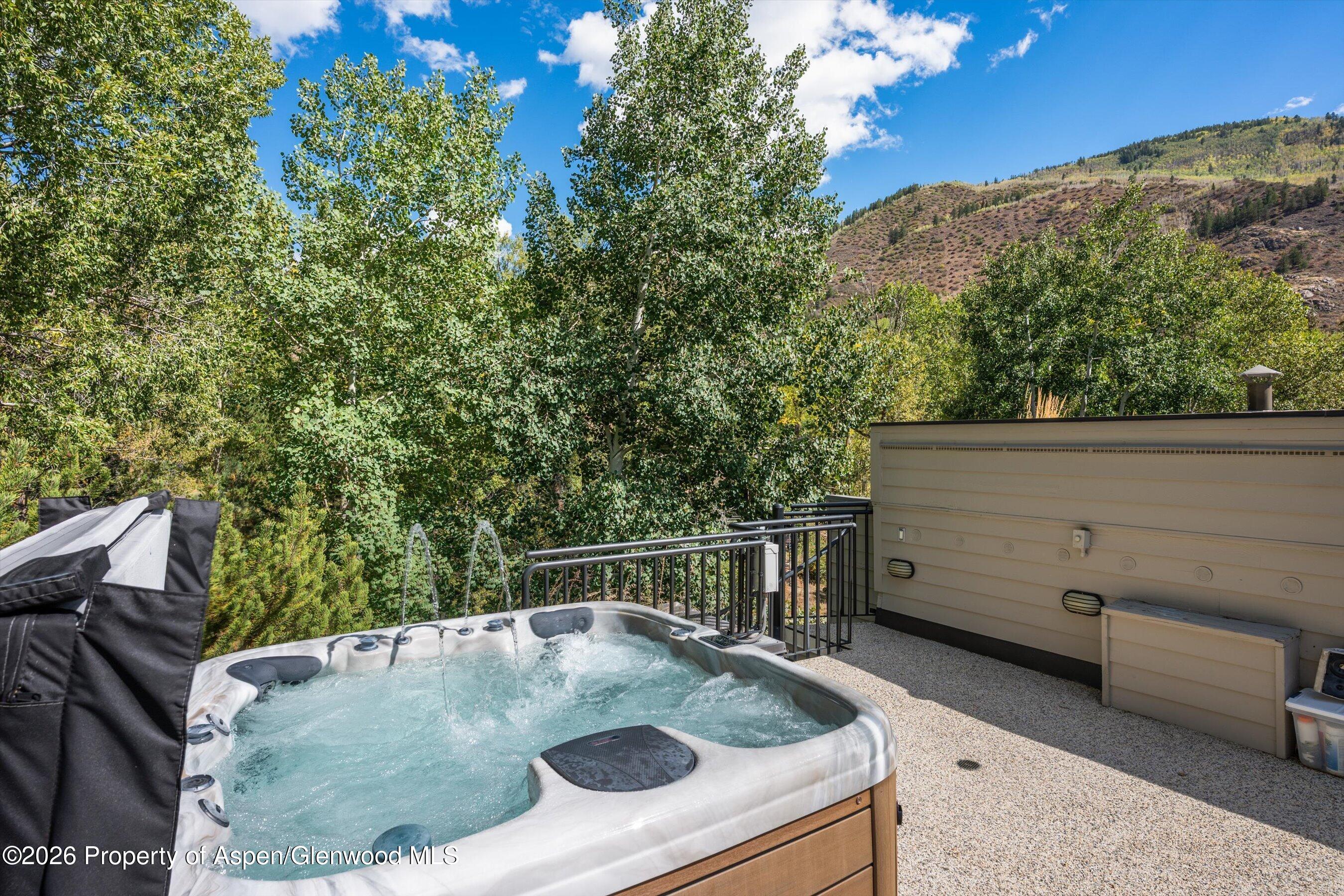 960 E Hopkins Avenue Aspen CO 81611