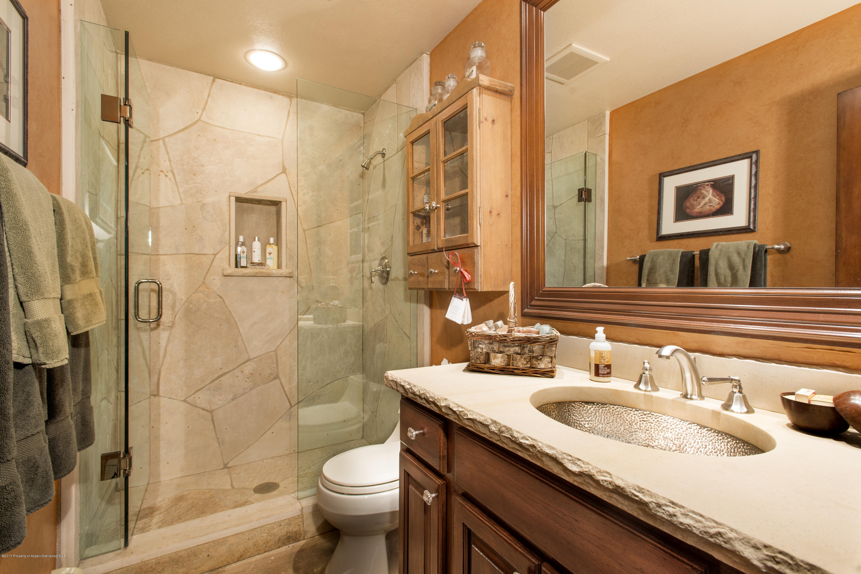 124 Harleston Green Snowmass Village CO 81615