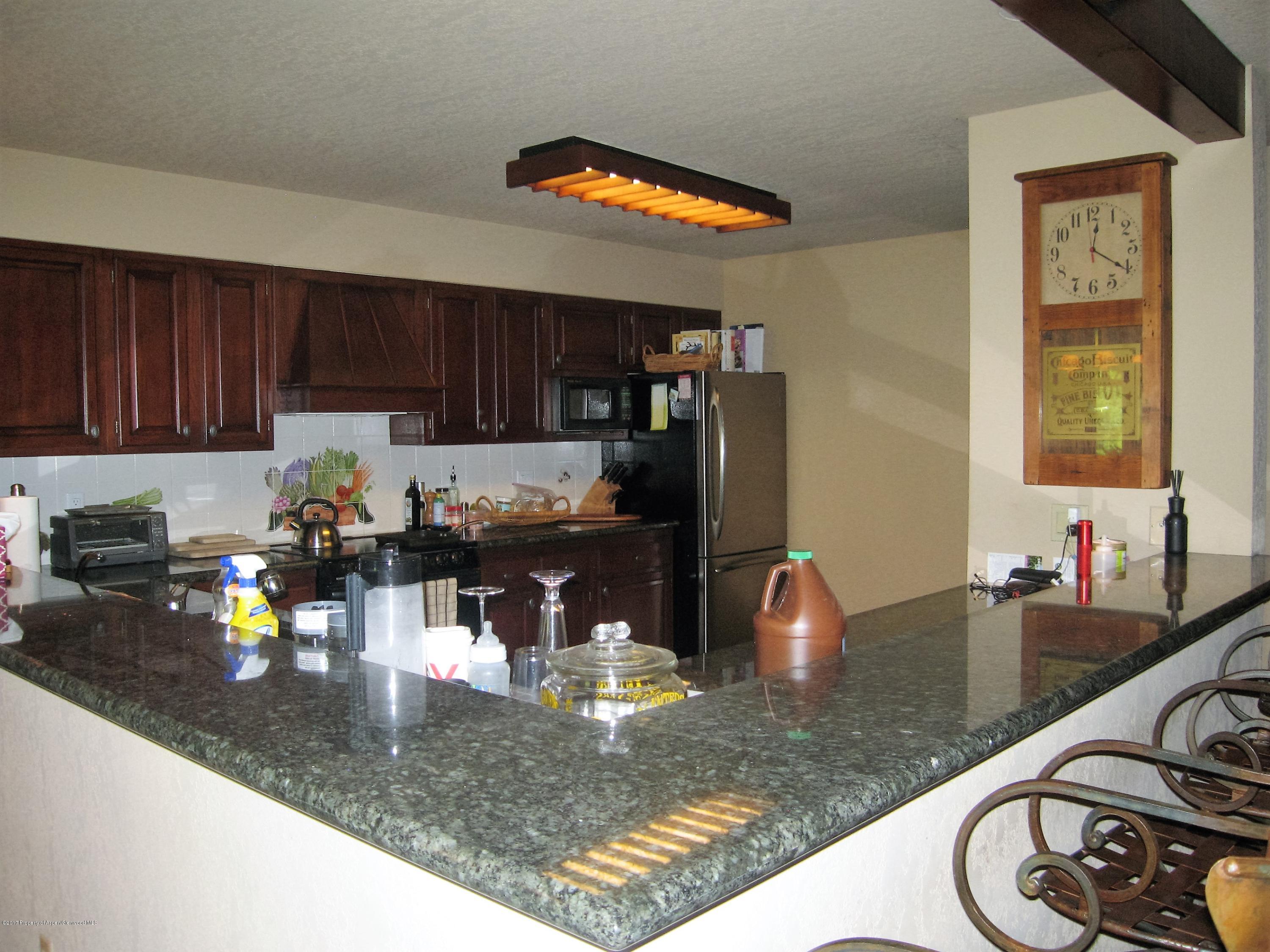 124 Harleston Green Snowmass Village CO 81615