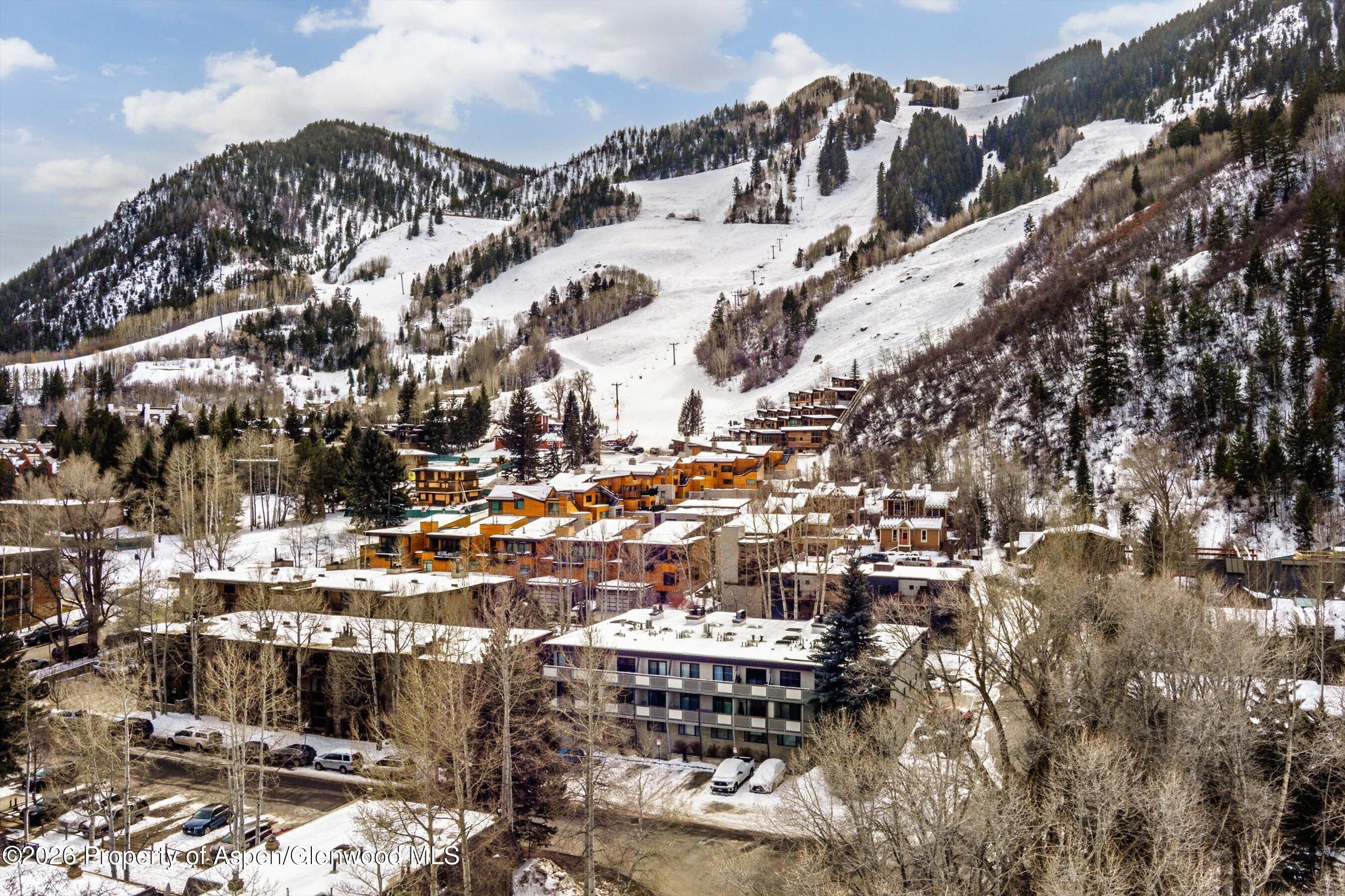 100 E Dean Street Aspen CO 81611