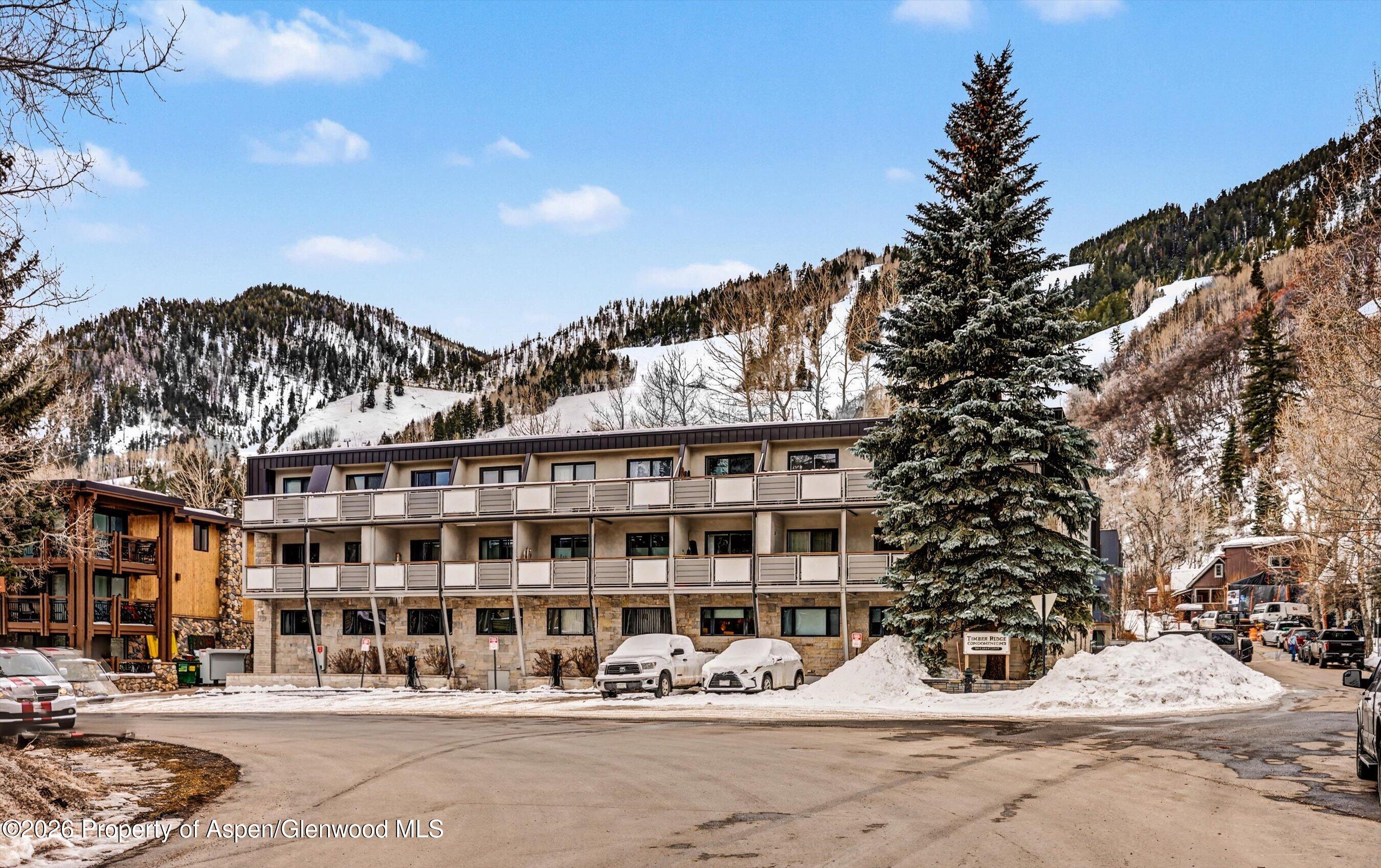 100 E Dean Street Aspen CO 81611