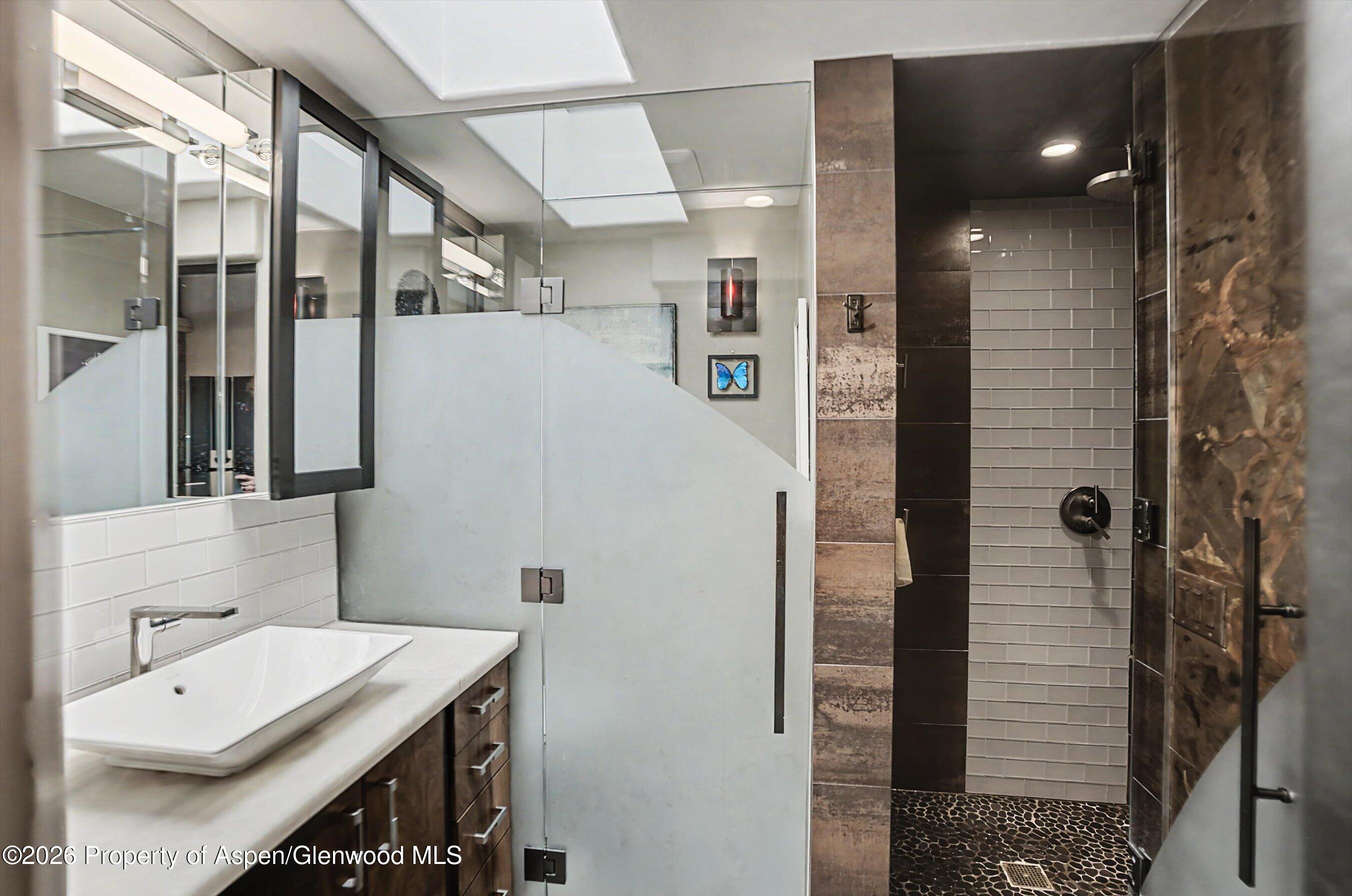 100 E Dean Street Aspen CO 81611