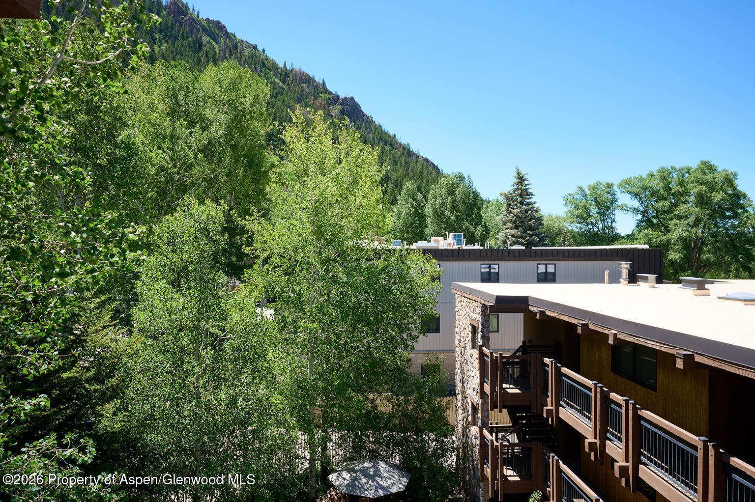 131 E Durant Avenue Aspen CO 81611