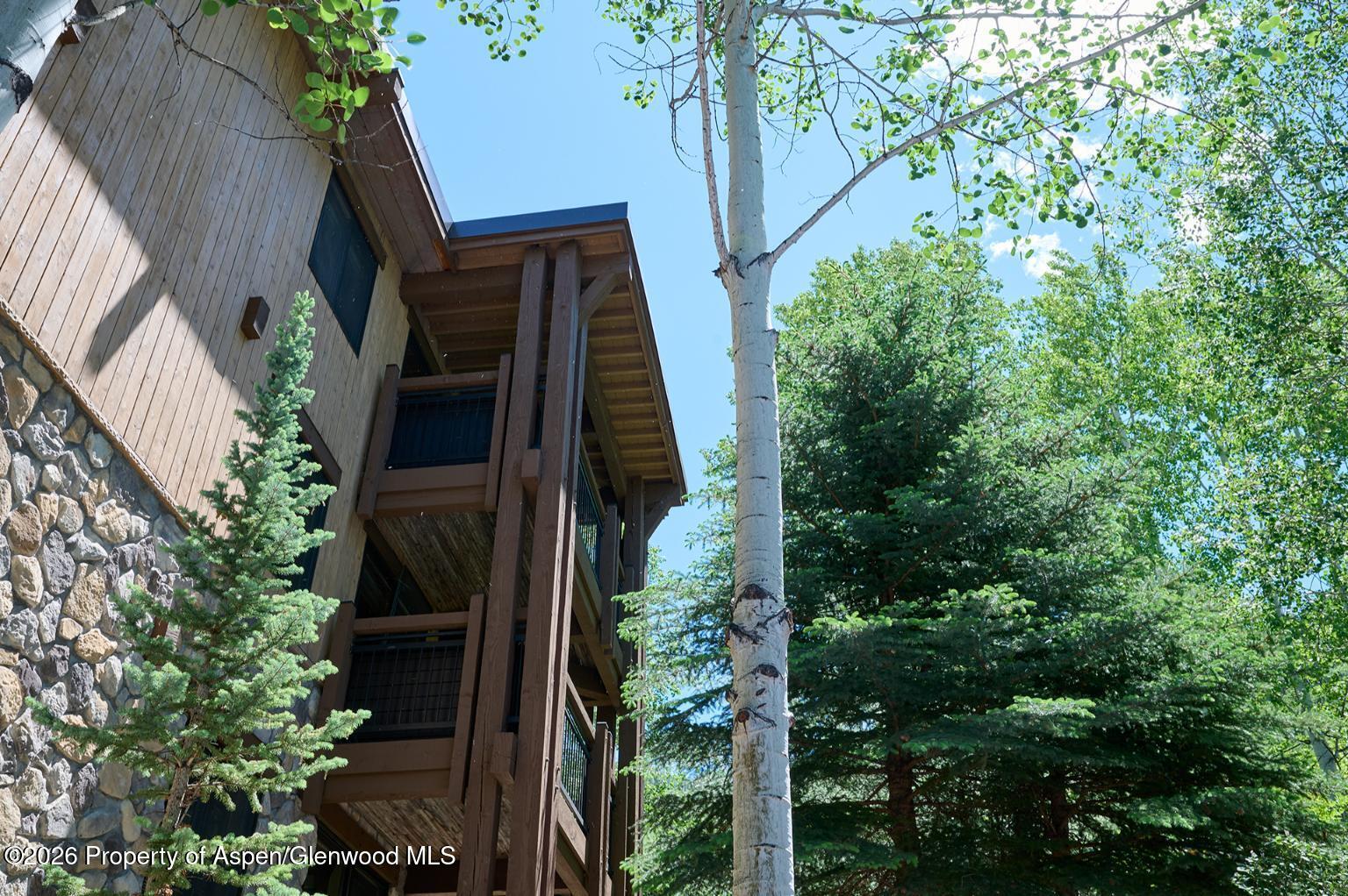 131 E Durant Avenue Aspen CO 81611