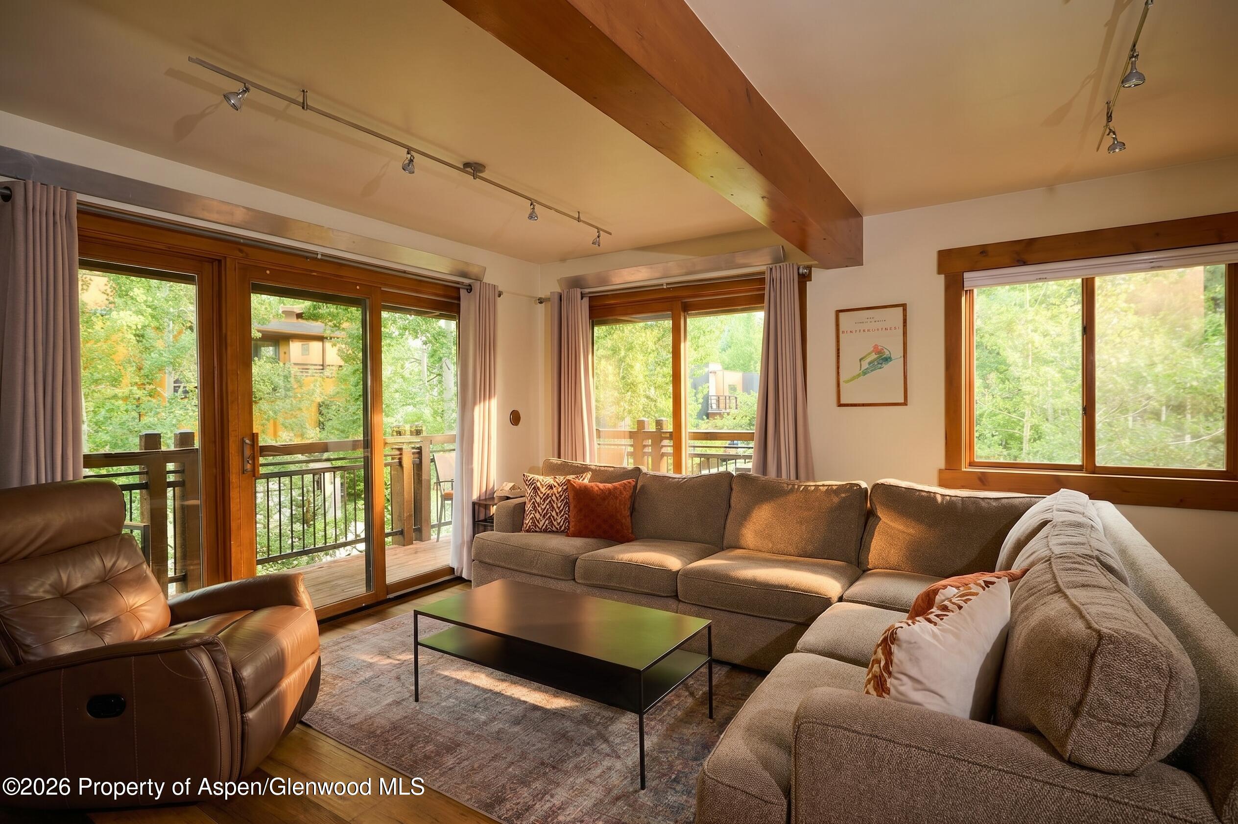 131 E Durant Avenue Aspen CO 81611