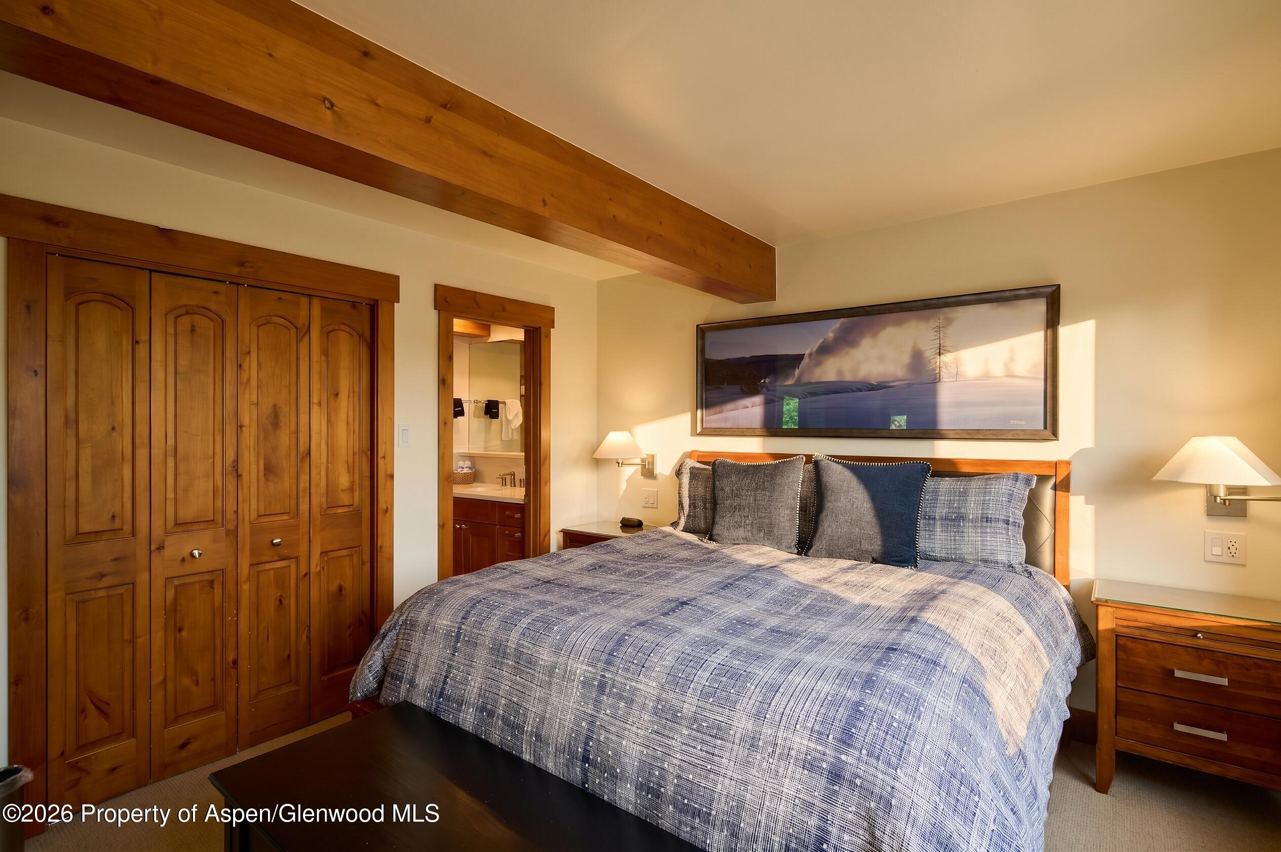 131 E Durant Avenue Aspen CO 81611
