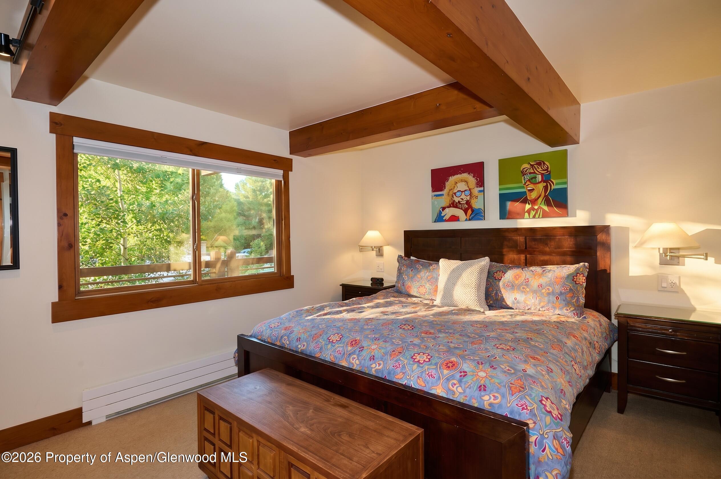 131 E Durant Avenue Aspen CO 81611