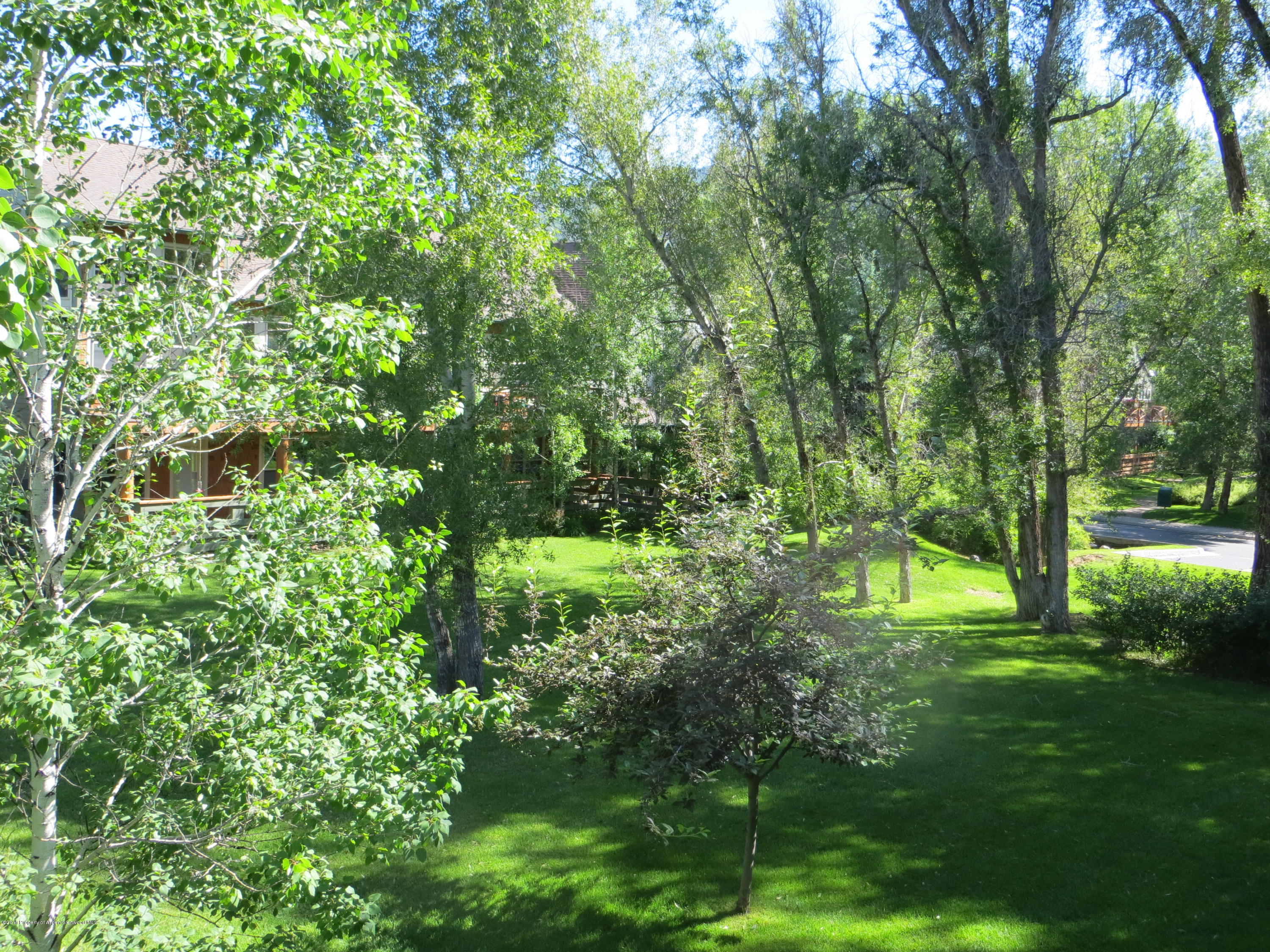 713 Evans Court Basalt CO 81621