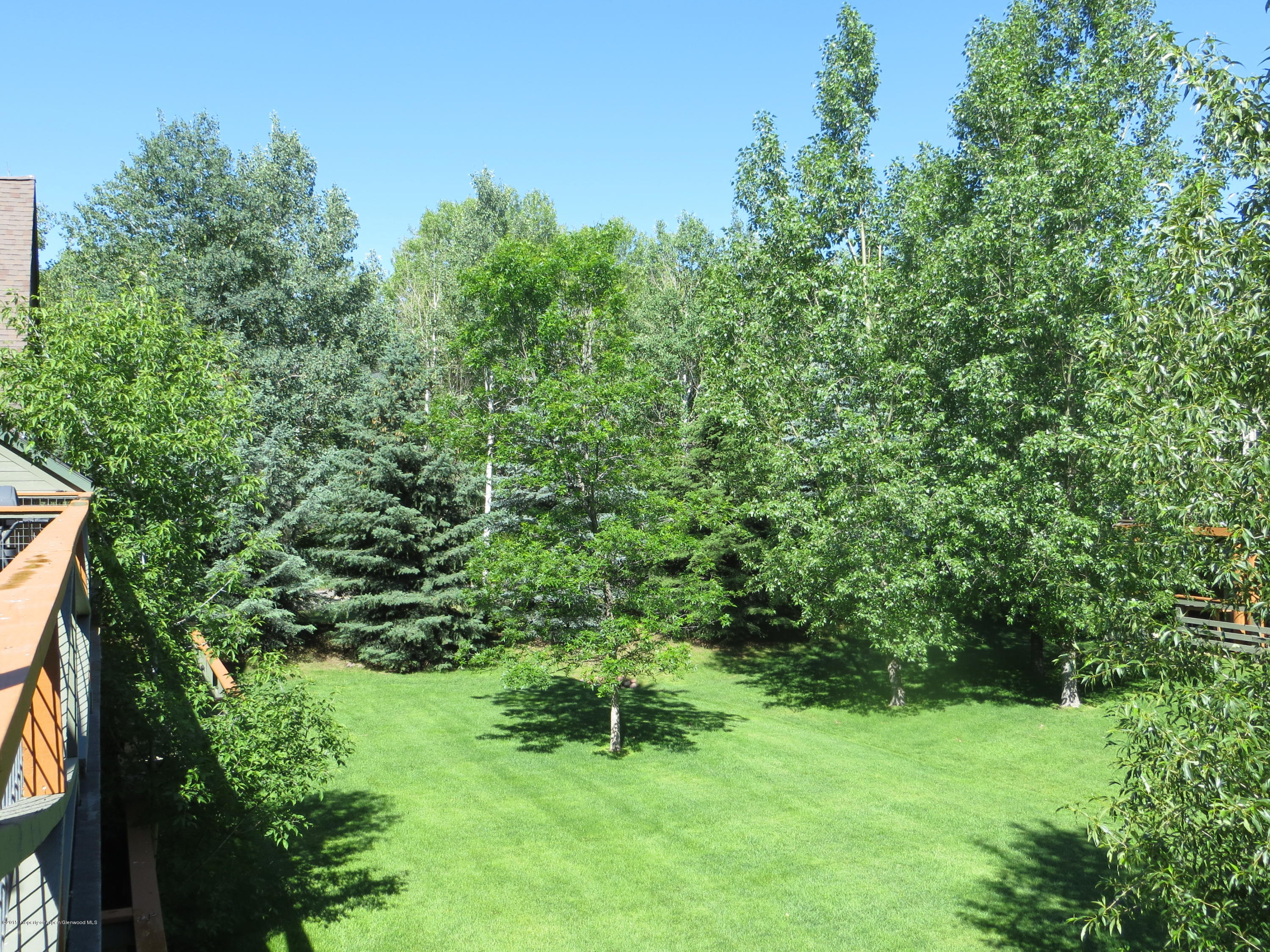 713 Evans Court Basalt CO 81621