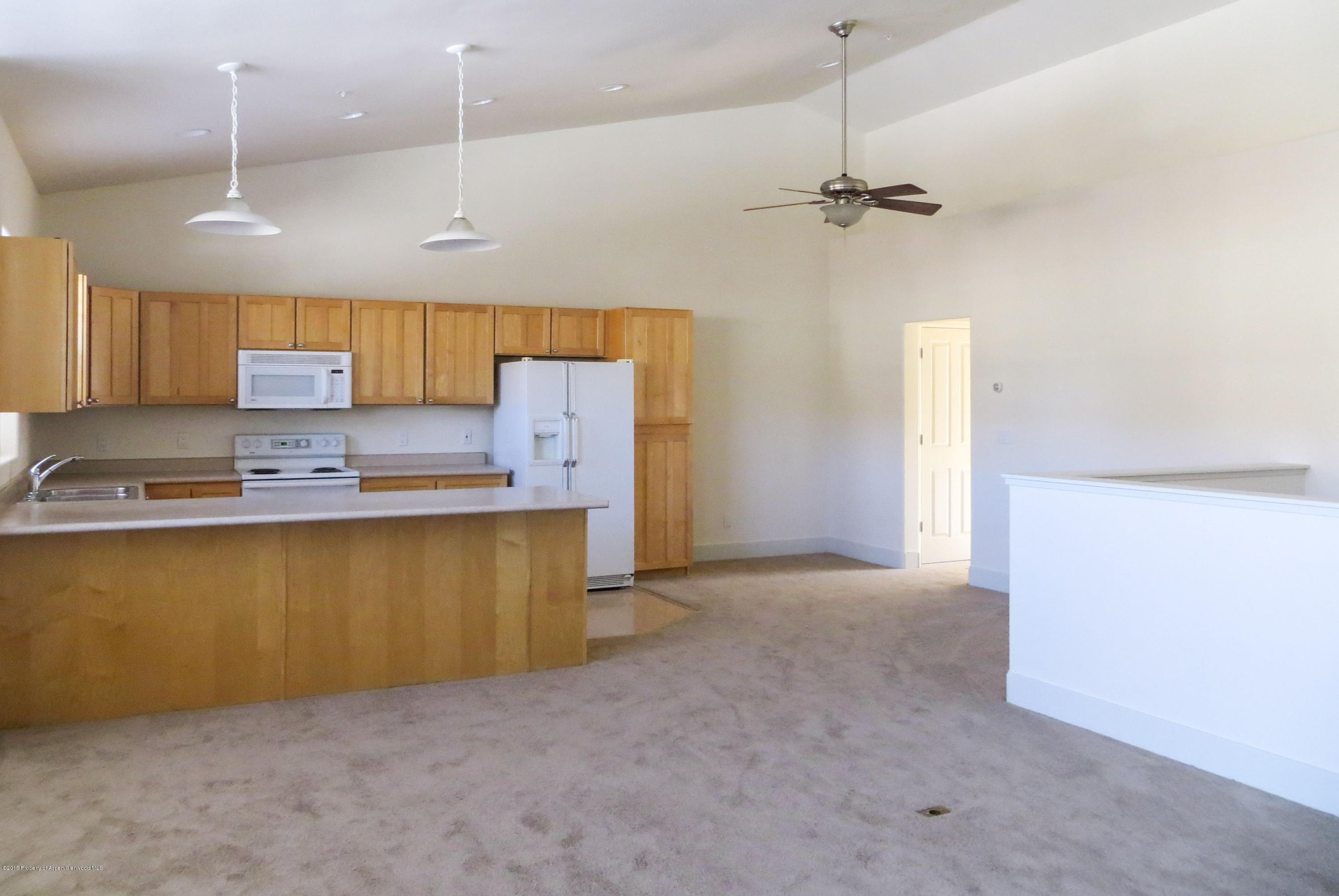 713 Evans Court Basalt CO 81621