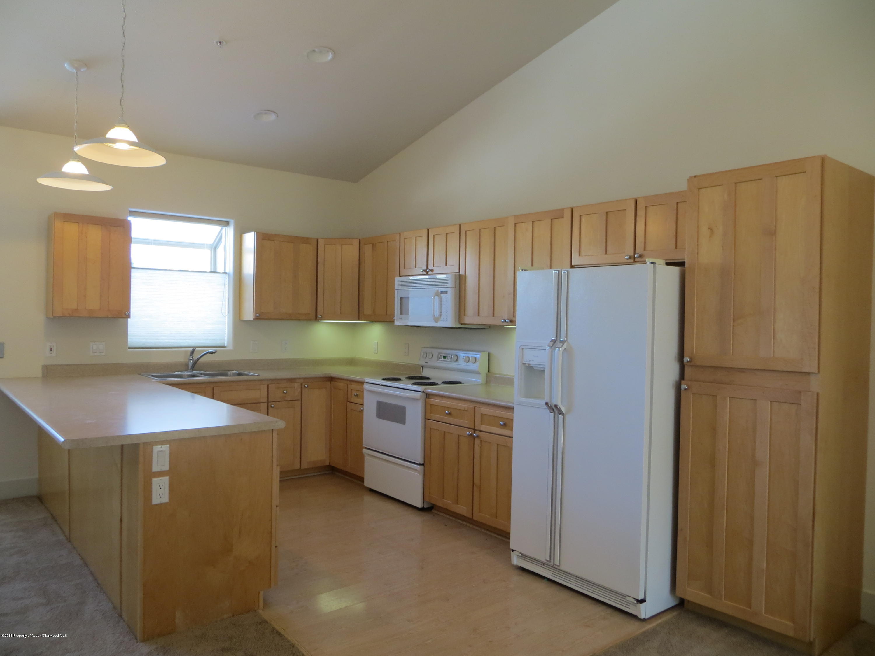 713 Evans Court Basalt CO 81621