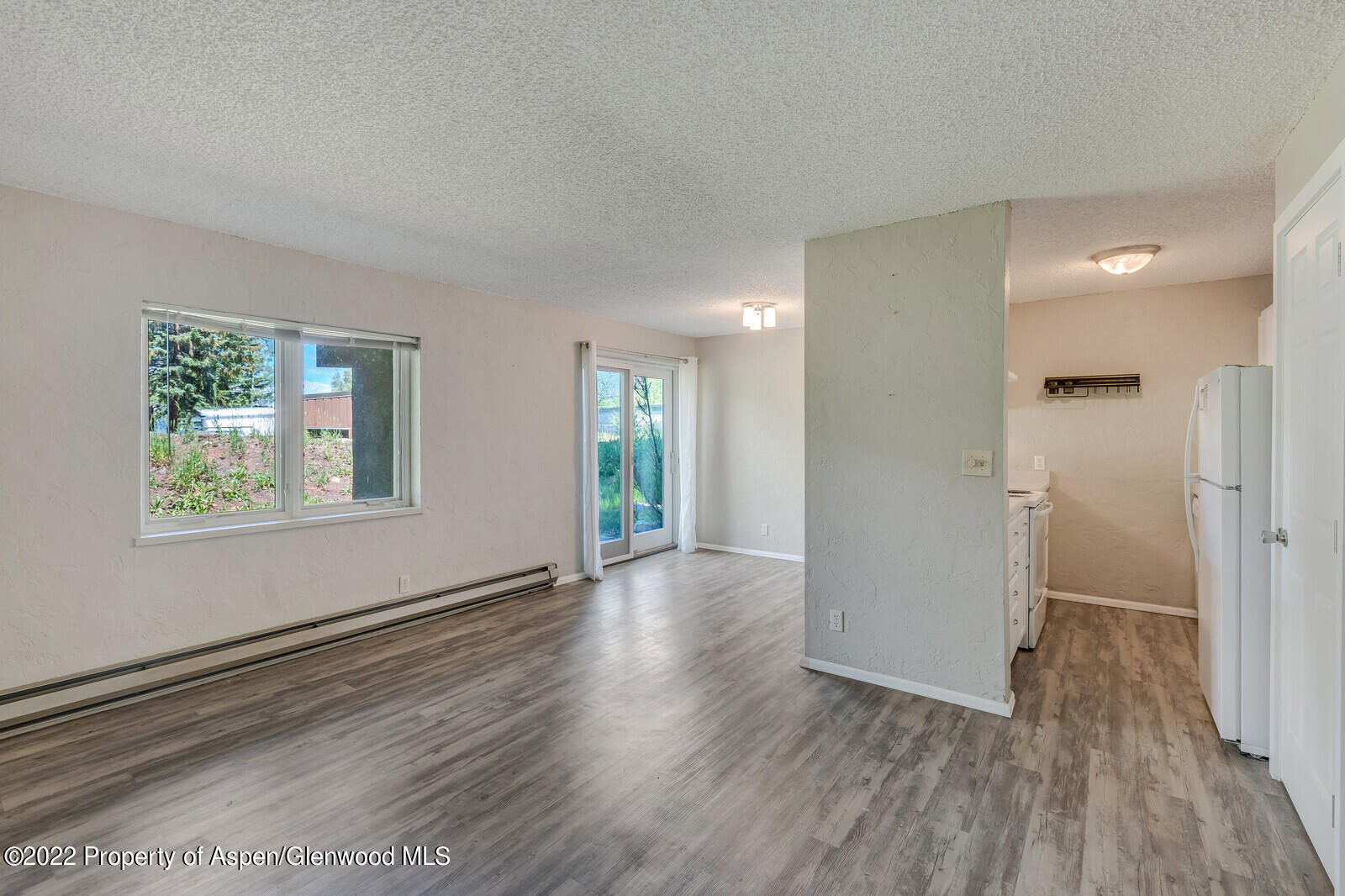 425 Park Circle Aspen CO 81611