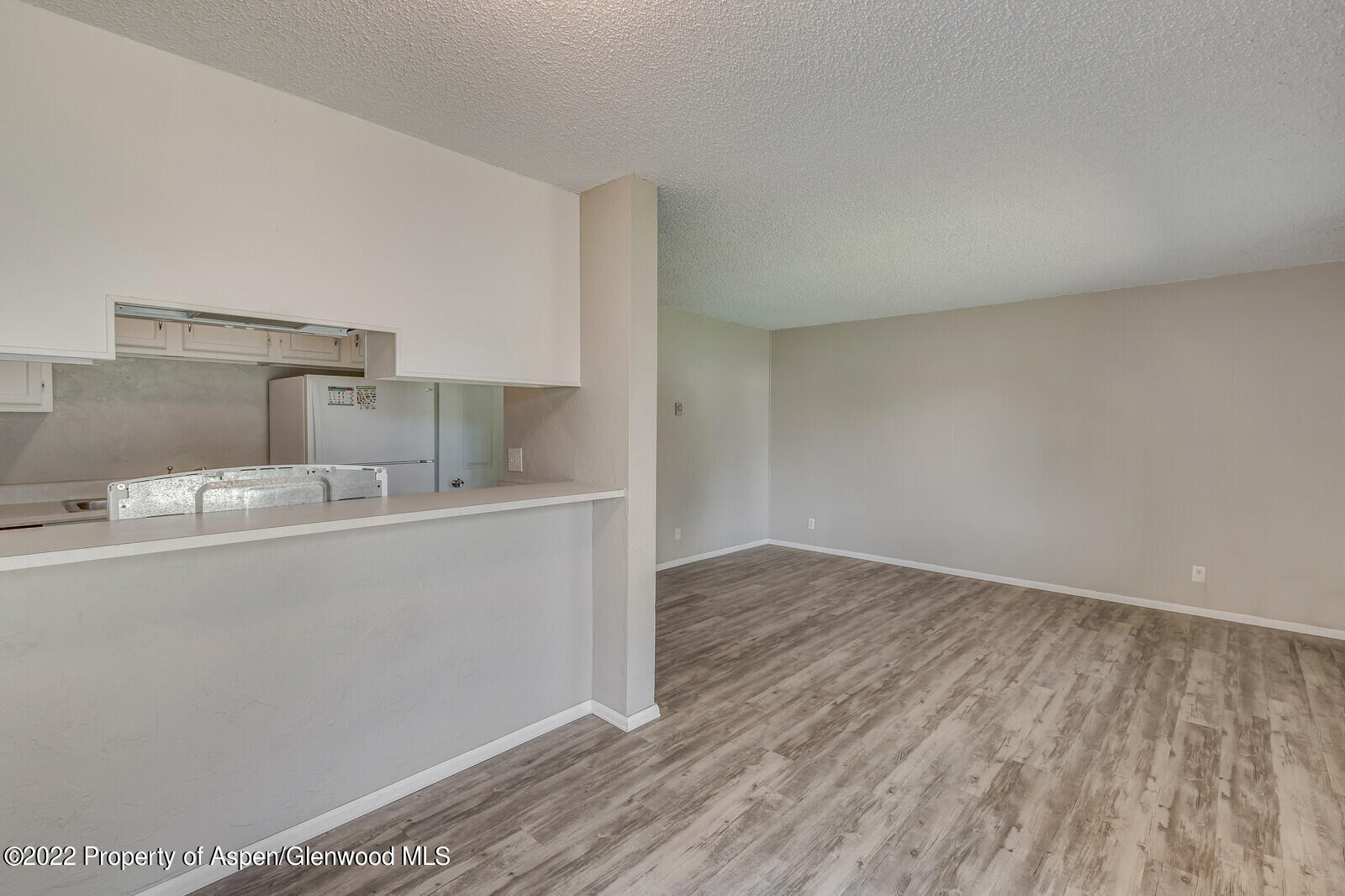 425 Park Circle Aspen CO 81611
