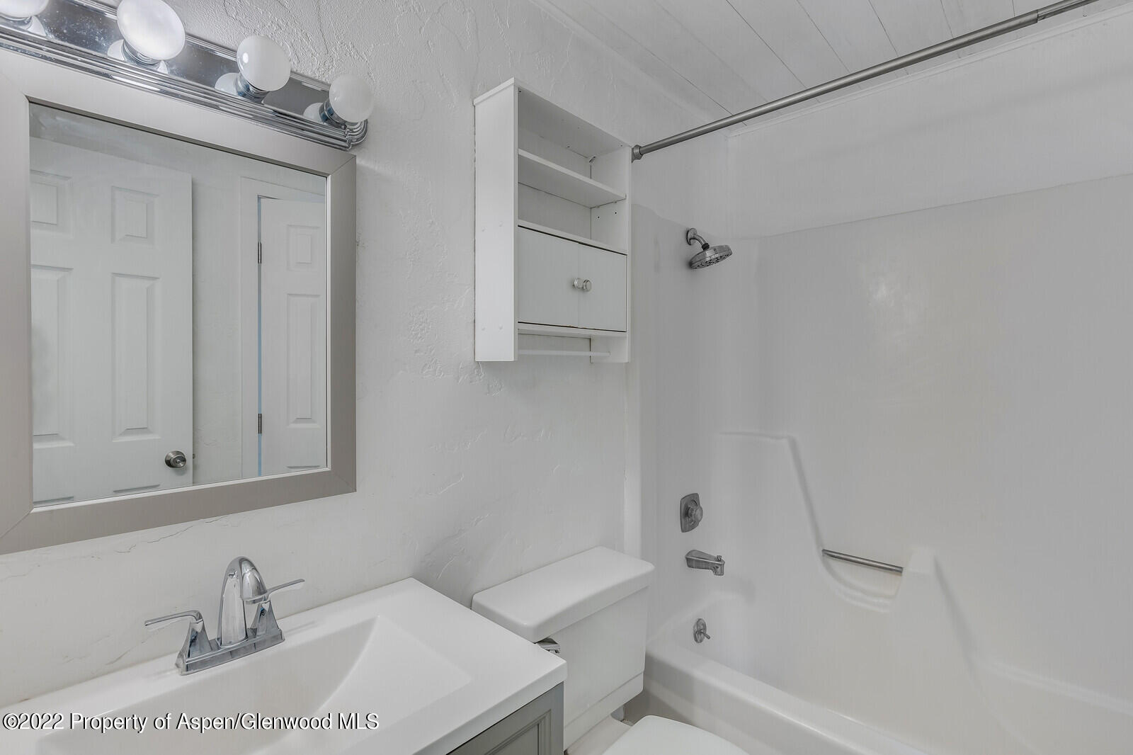 425 Park Circle Aspen CO 81611