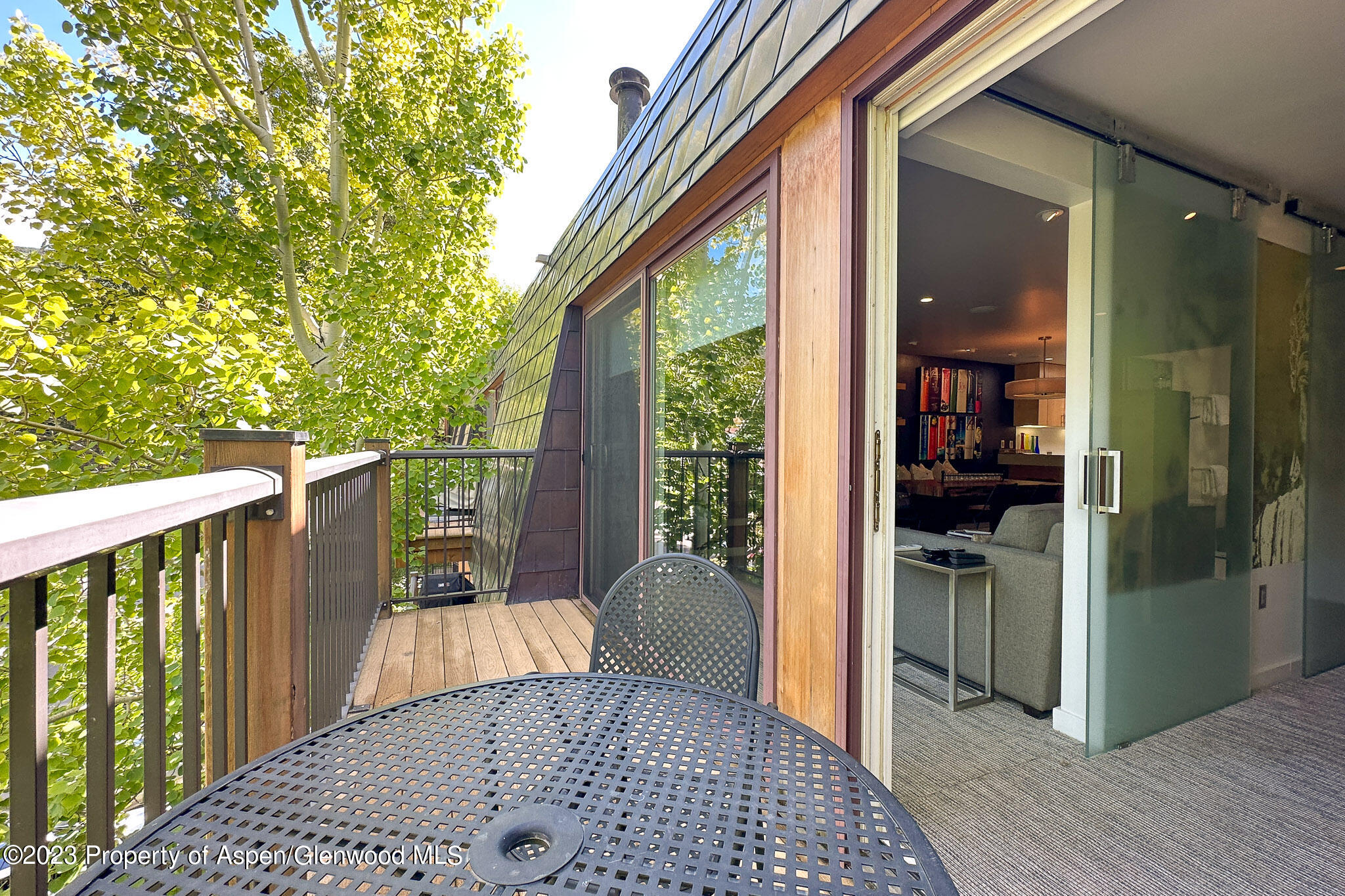 205 E Durant Avenue Aspen CO 81611