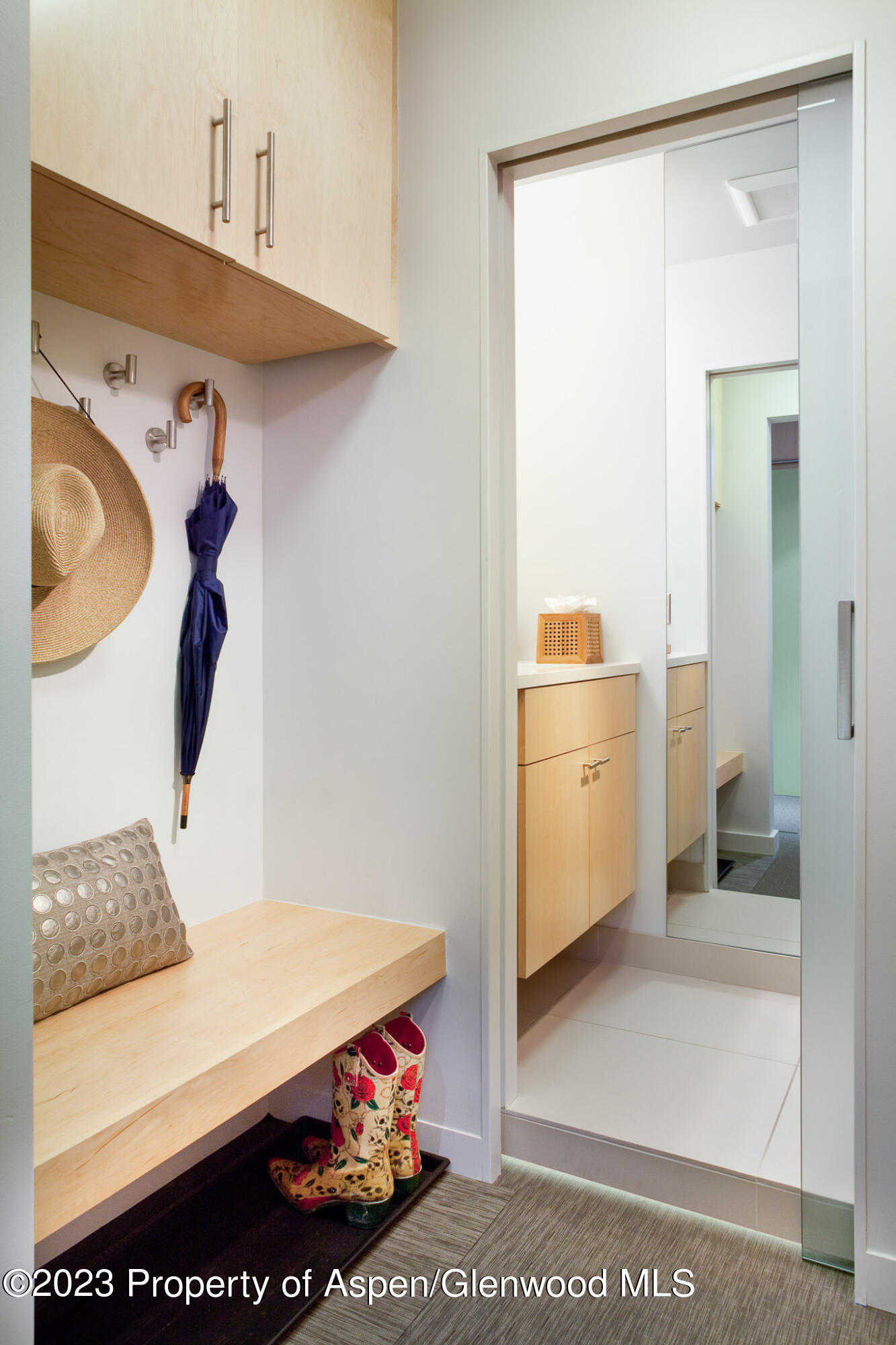 205 E Durant Avenue Aspen CO 81611