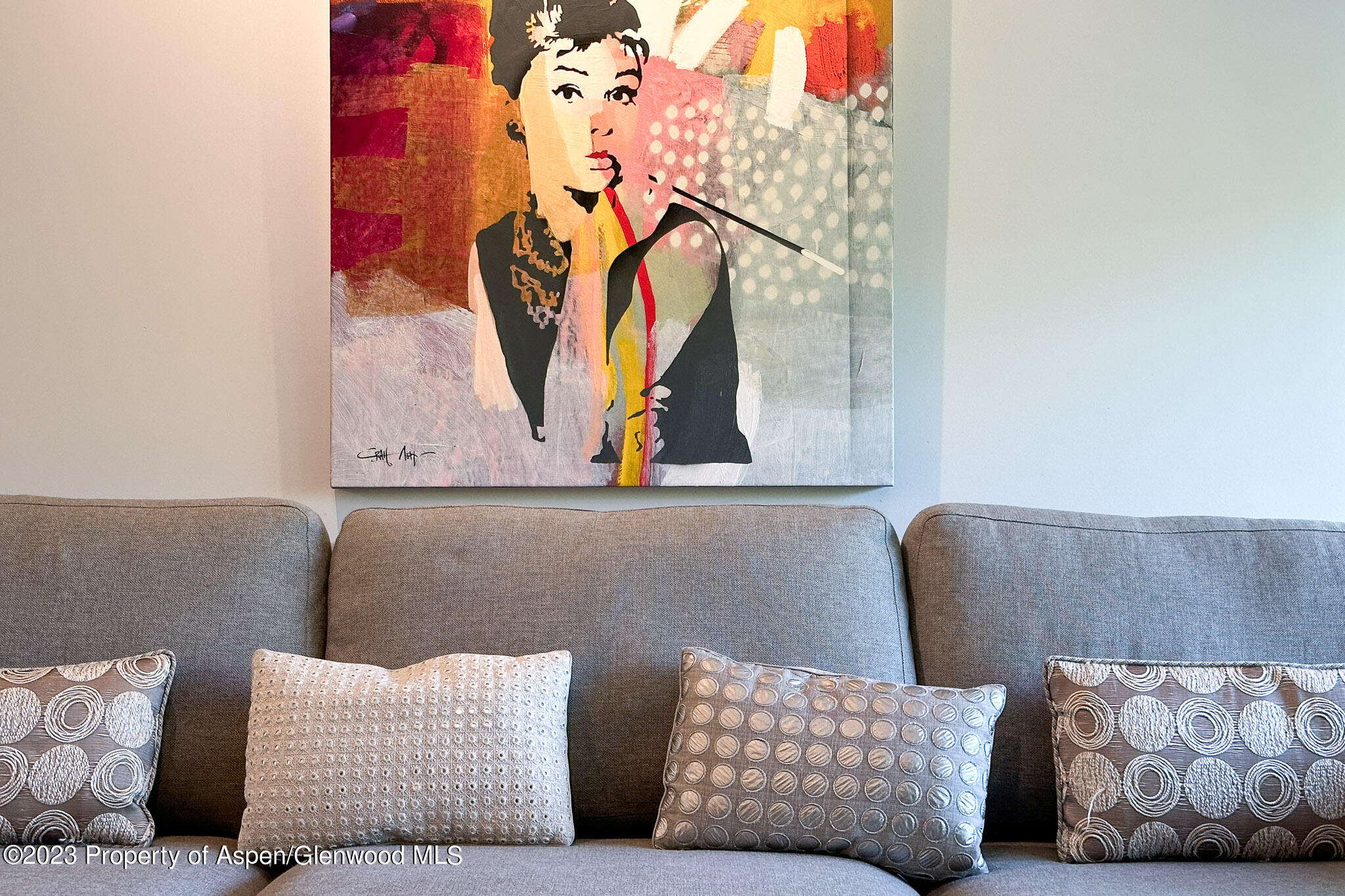 205 E Durant Avenue Aspen CO 81611