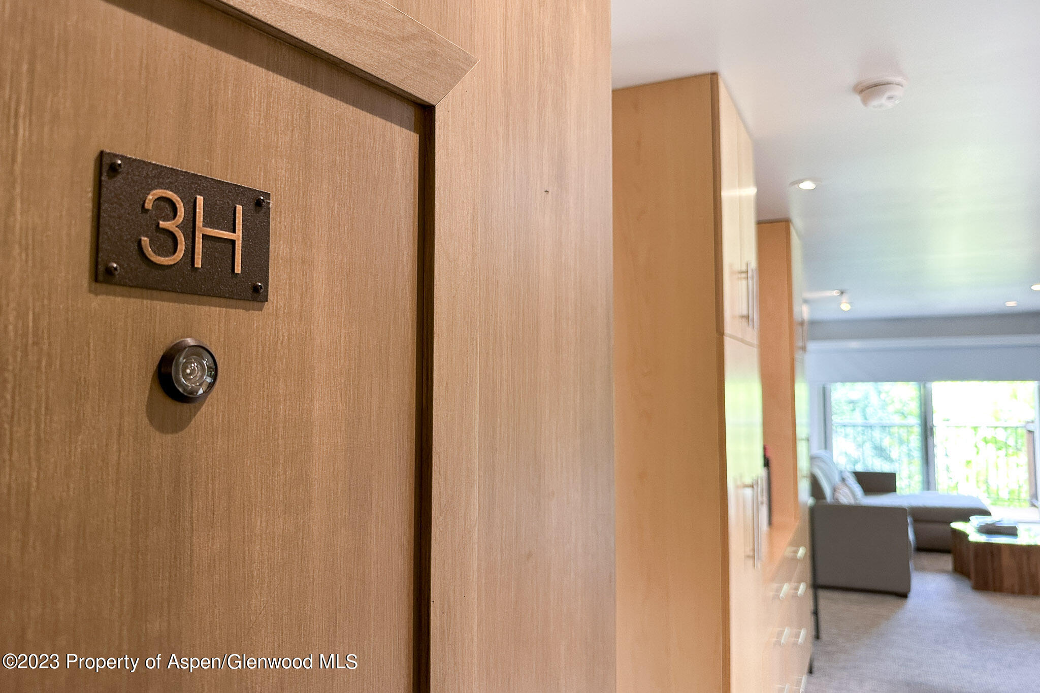 205 E Durant Avenue Aspen CO 81611