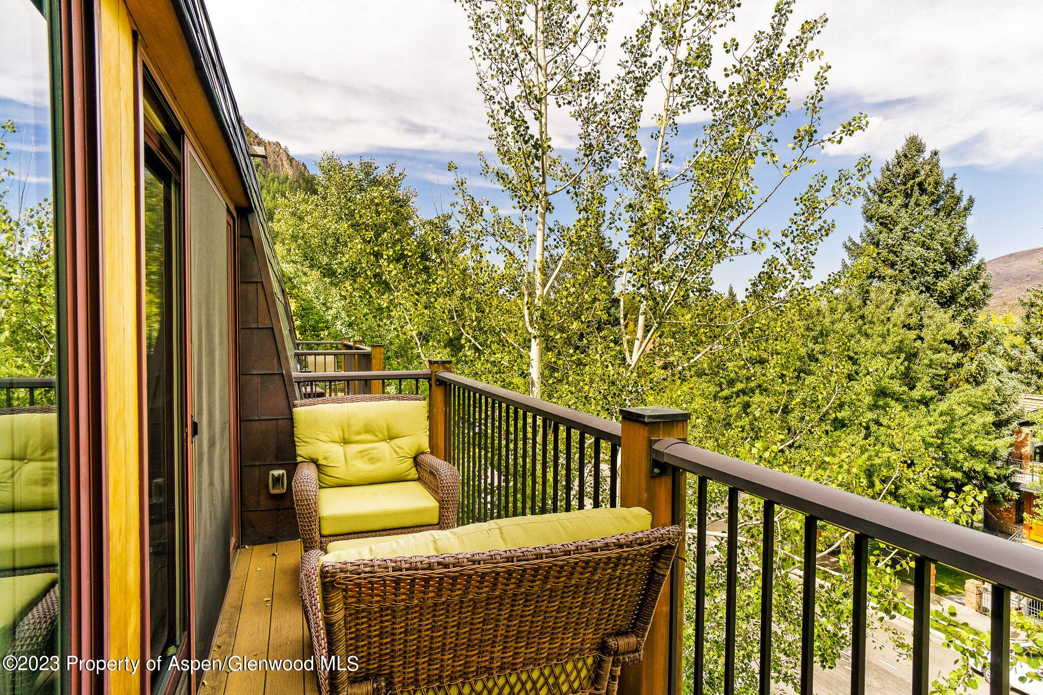 205 E Durant Avenue Aspen CO 81611