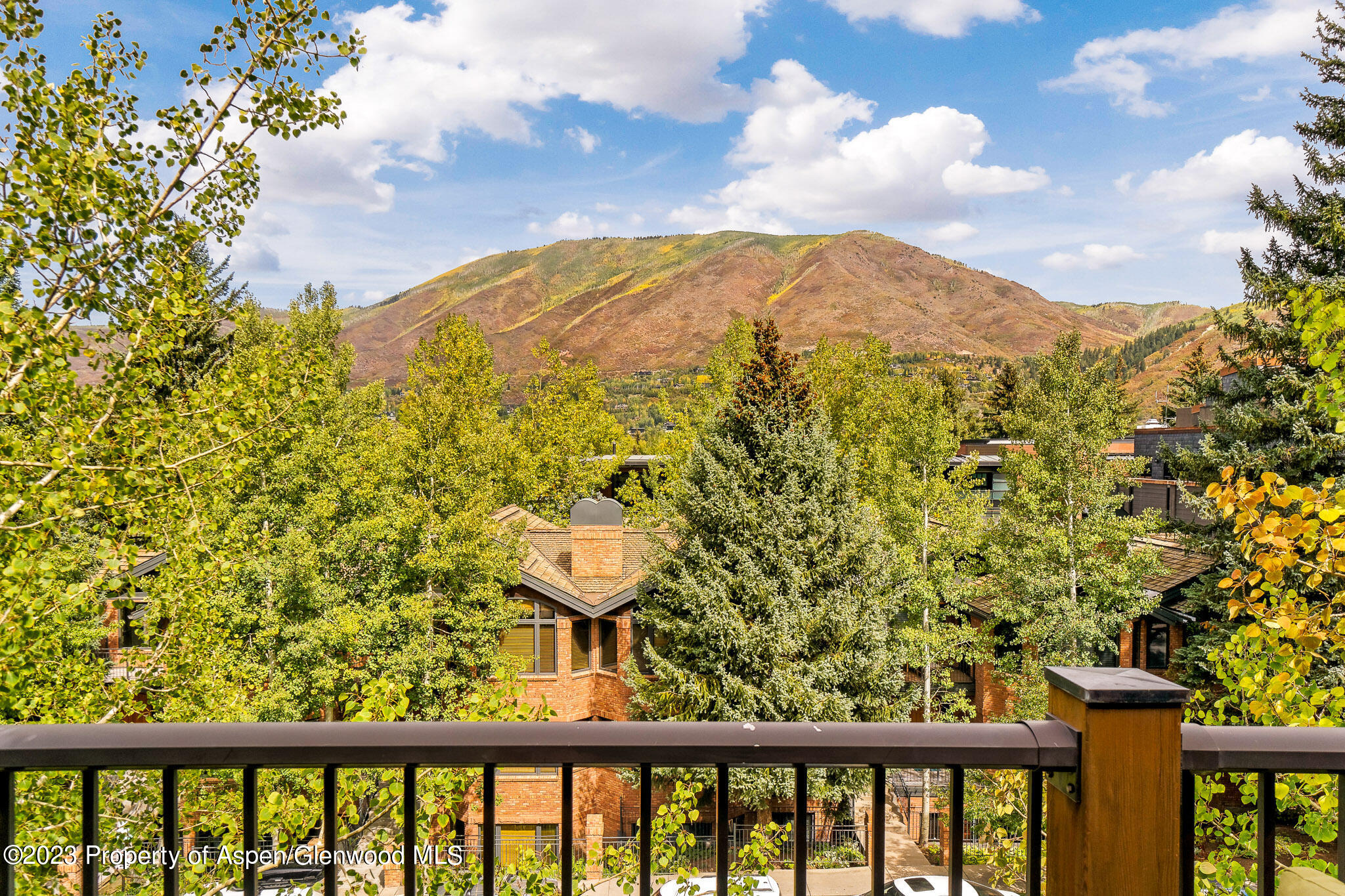 205 E Durant Avenue Aspen CO 81611