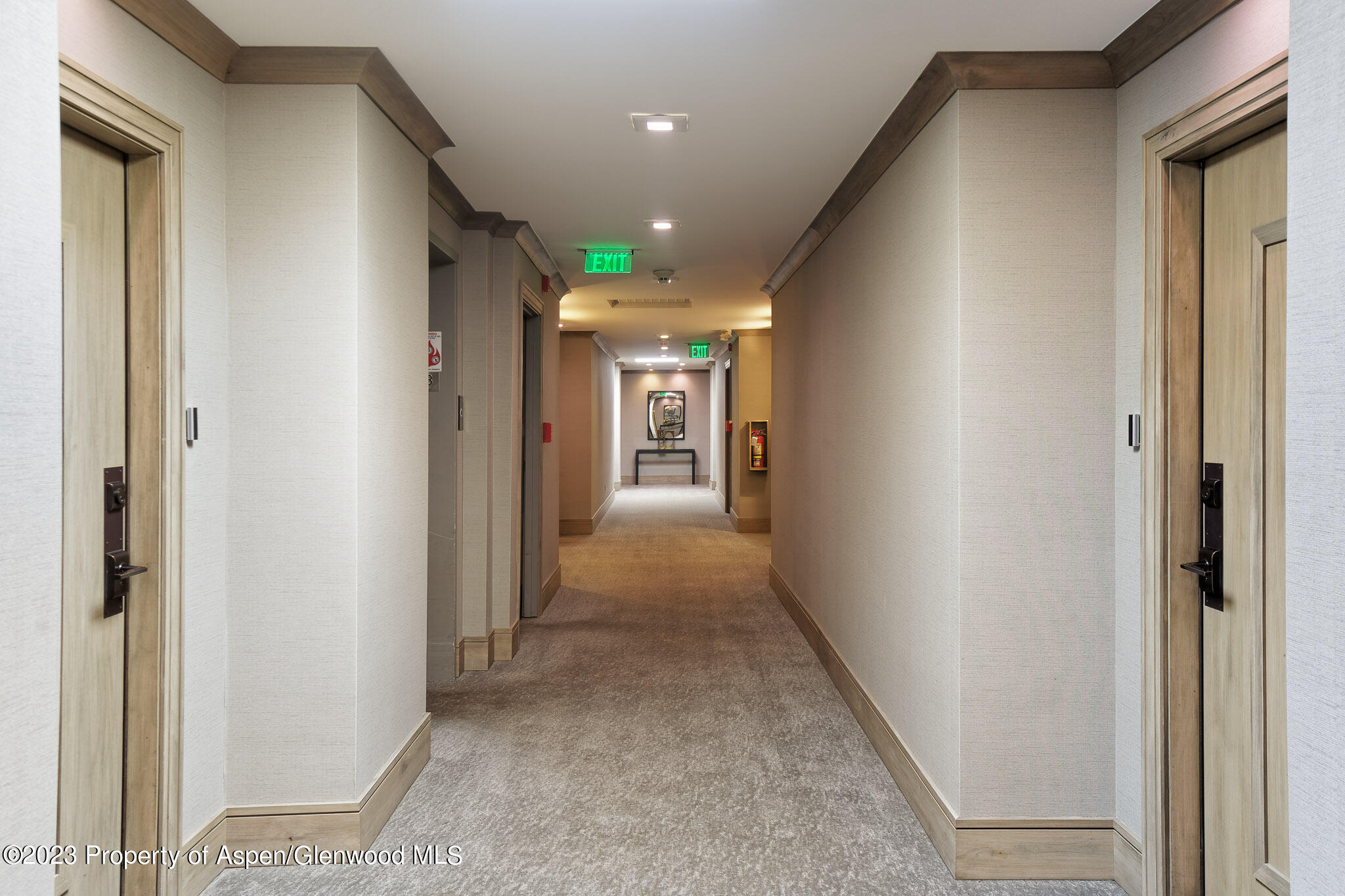 205 E Durant Avenue Aspen CO 81611