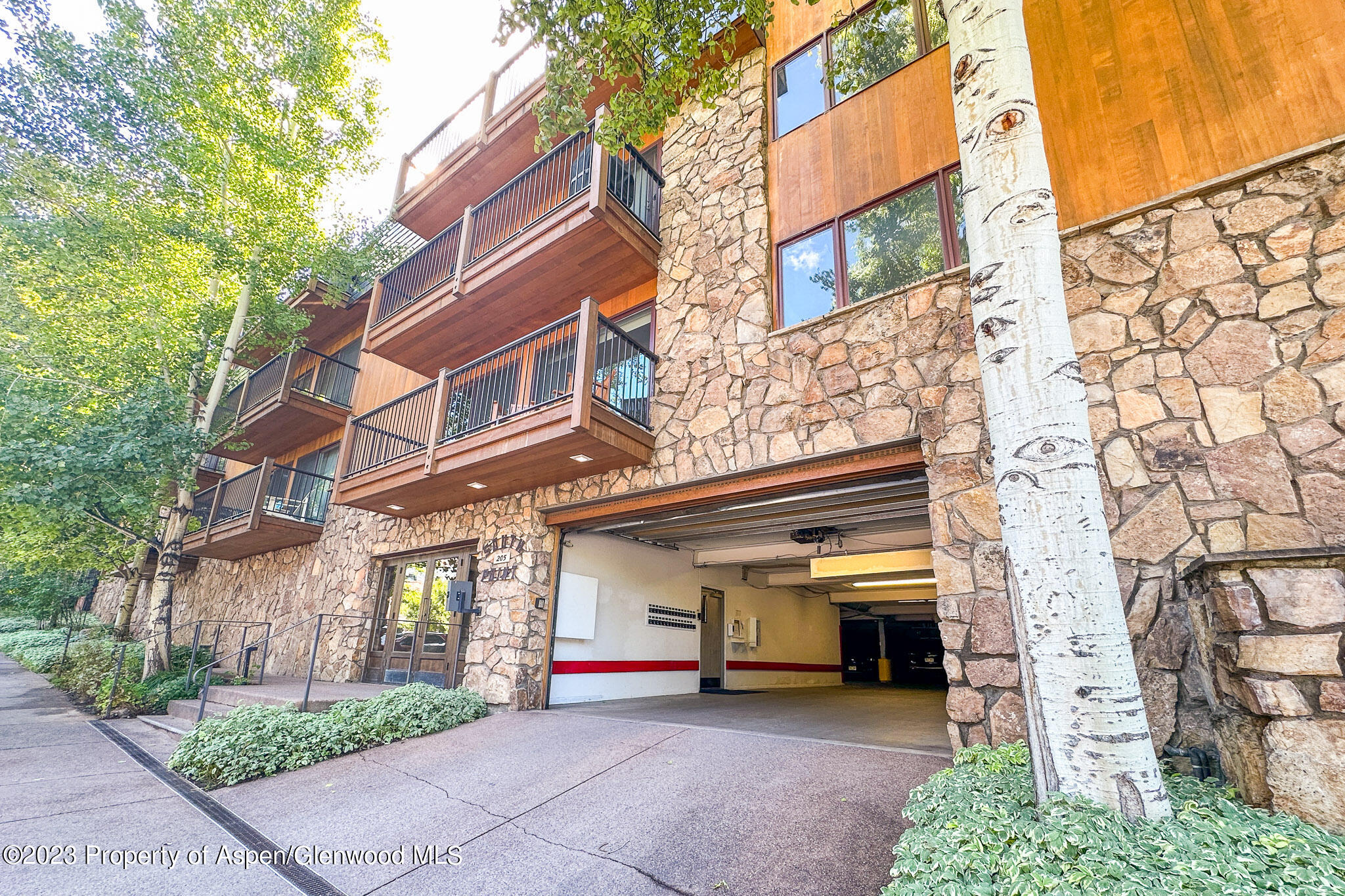 205 E Durant Avenue Aspen CO 81611