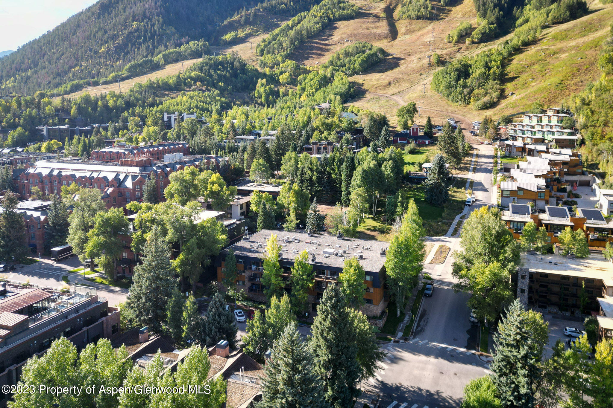 205 E Durant Avenue Aspen CO 81611