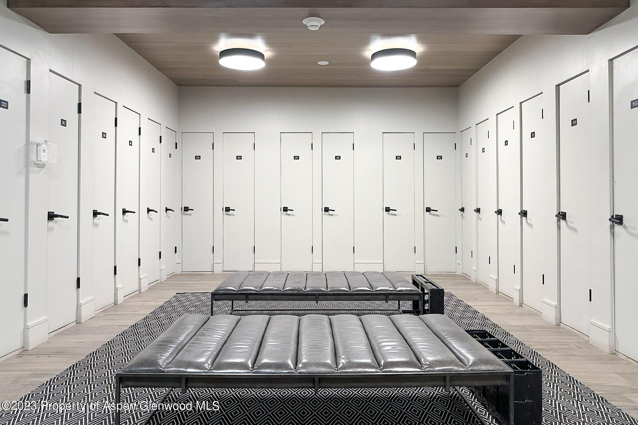 205 E Durant Avenue Aspen CO 81611